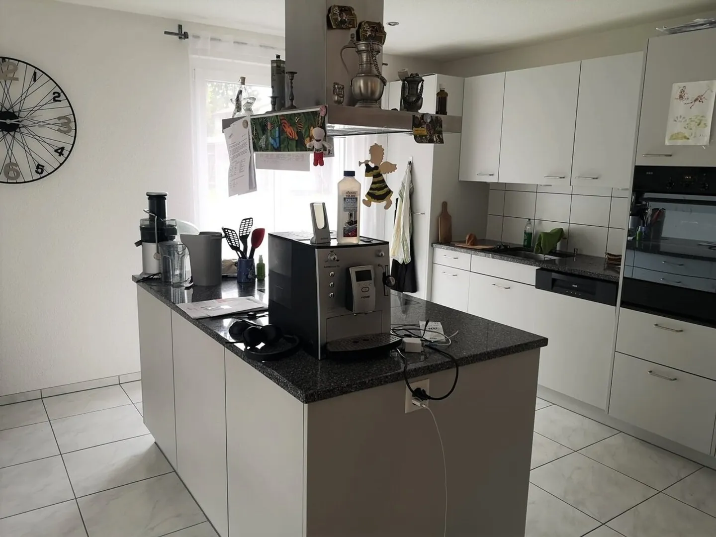 Home in the Heart of Koppigen - Photo 2 of 12