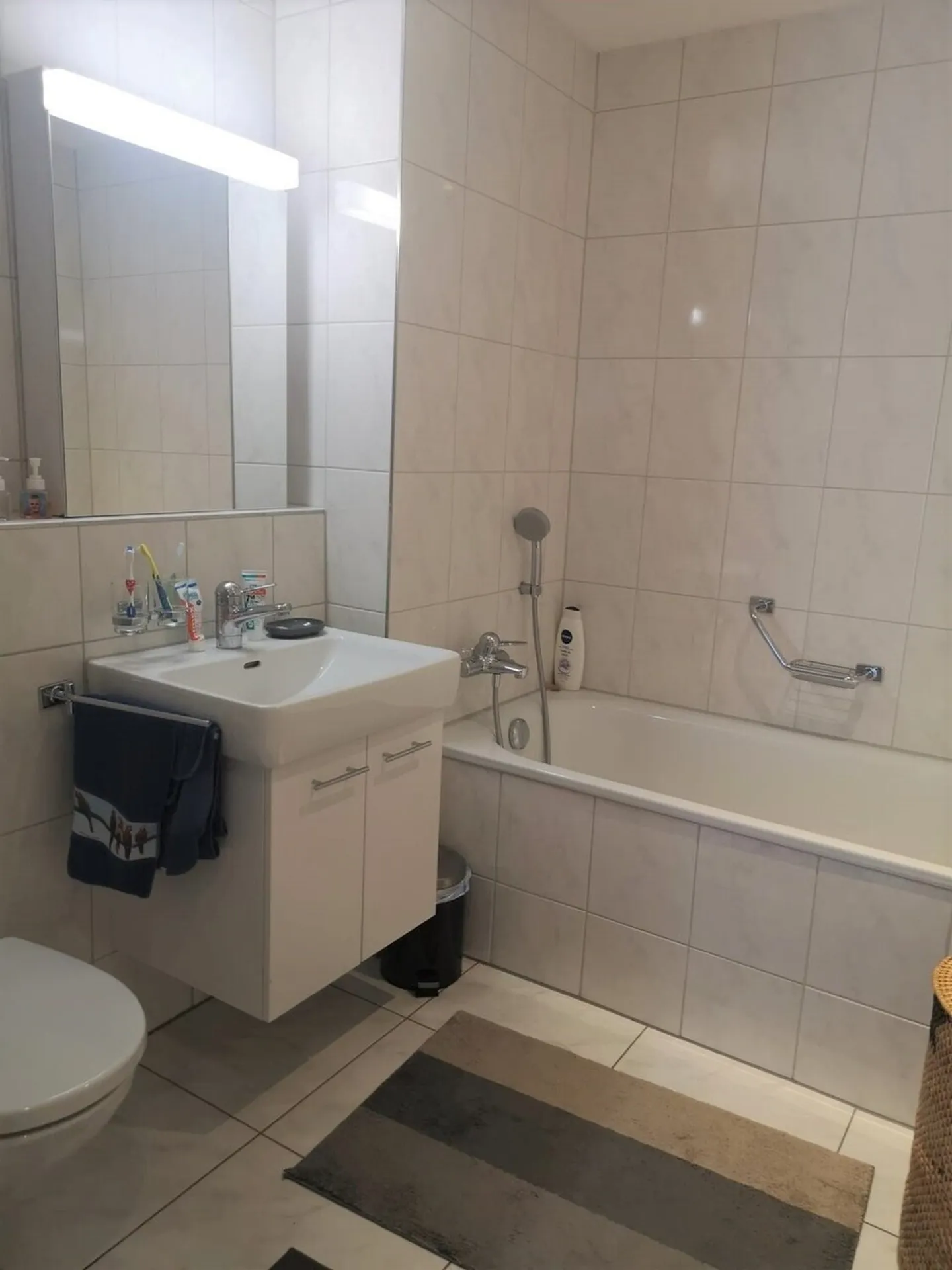 Home in the Heart of Koppigen - Photo 8 of 12