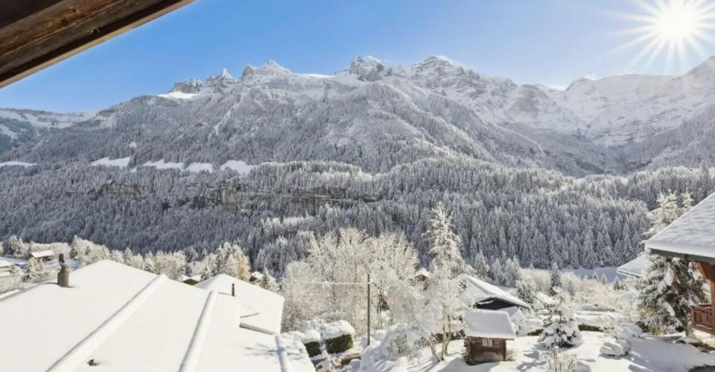 Charming Chalet with Modern Touch - Photo 5 of 13