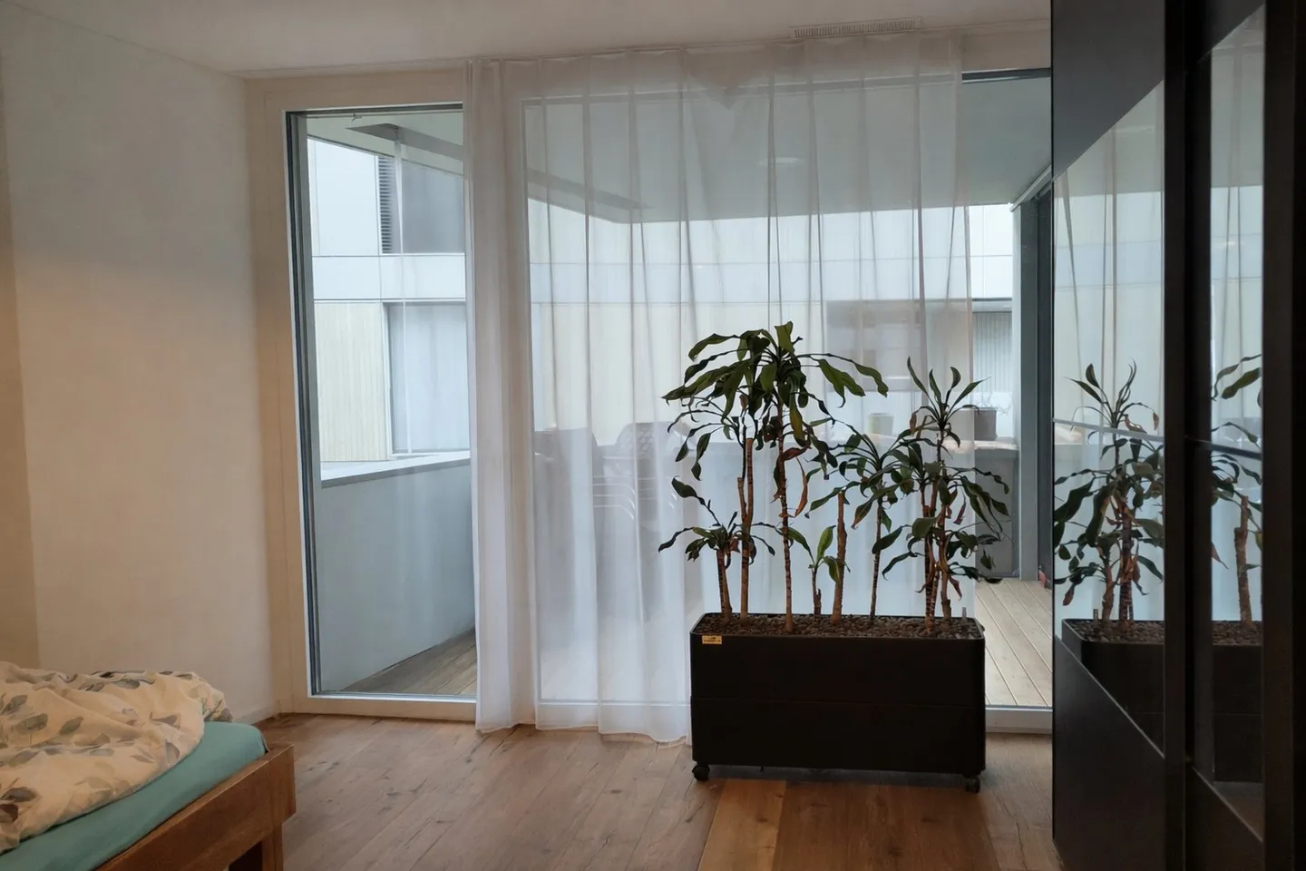 Moderne und lichtdurchflutete 2.5-Zimmer-Wohnung - Foto 3 von 10