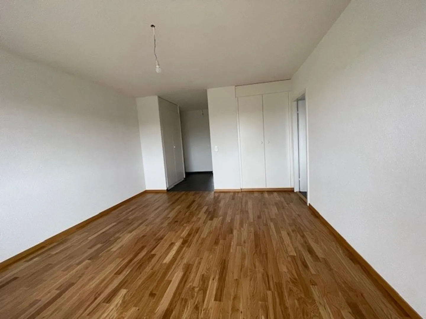 Appartamento completamente ristrutturato di 3,5 locali al 5° piano, con balcone. - Foto 2 di 8