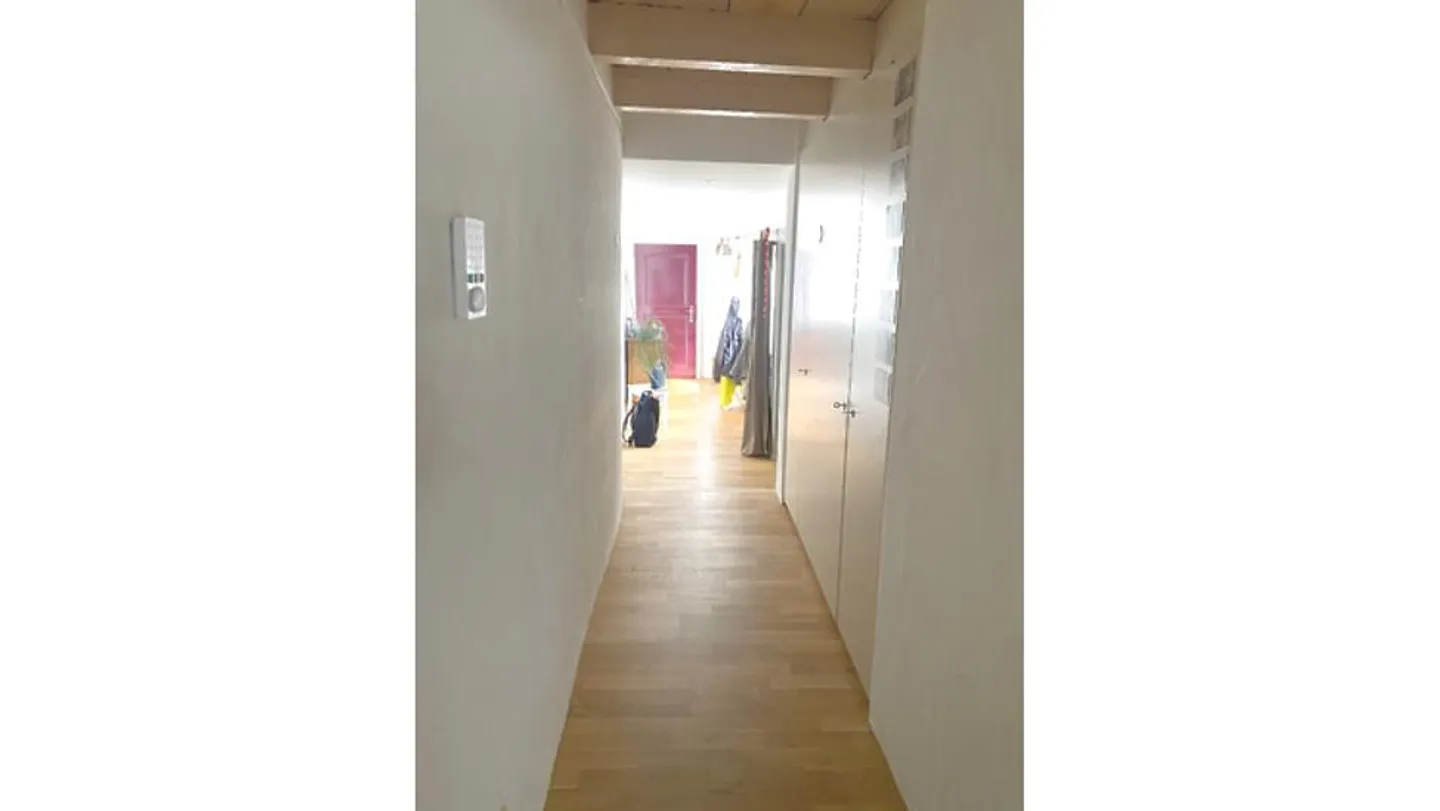 2½ ROOM APARTMENT IN BERN, FURNISHED, TEMPORARY - Photo 2 of 8