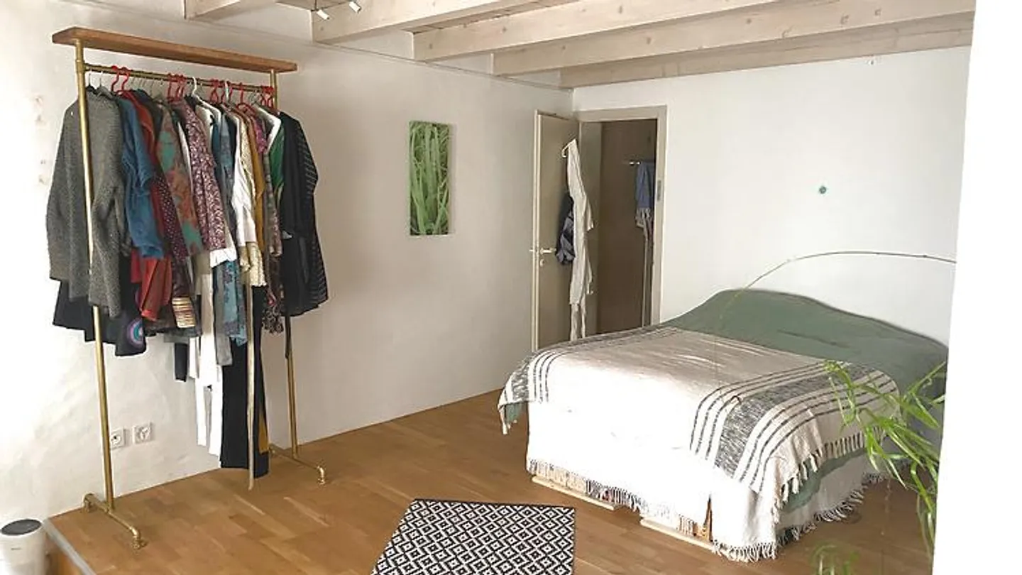 2½ ROOM APARTMENT IN BERN, FURNISHED, TEMPORARY - Photo 5 of 8