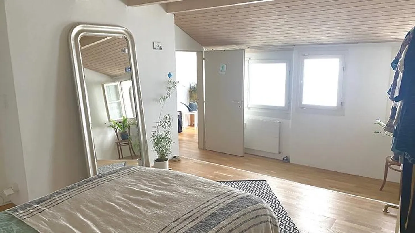 2½ ROOM APARTMENT IN BERN, FURNISHED, TEMPORARY - Photo 6 of 8