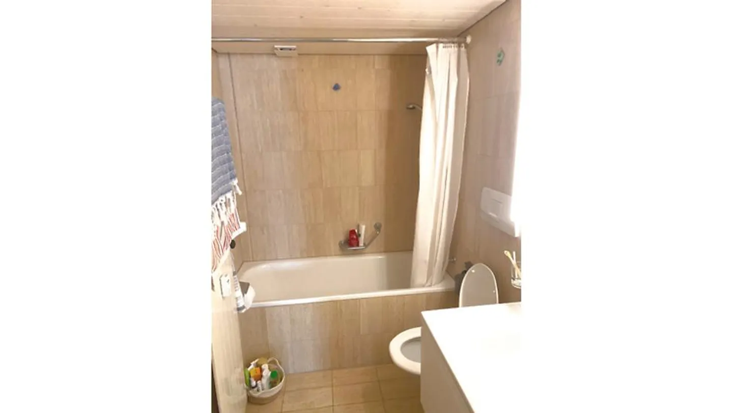 2½ ROOM APARTMENT IN BERN, FURNISHED, TEMPORARY - Photo 7 of 8