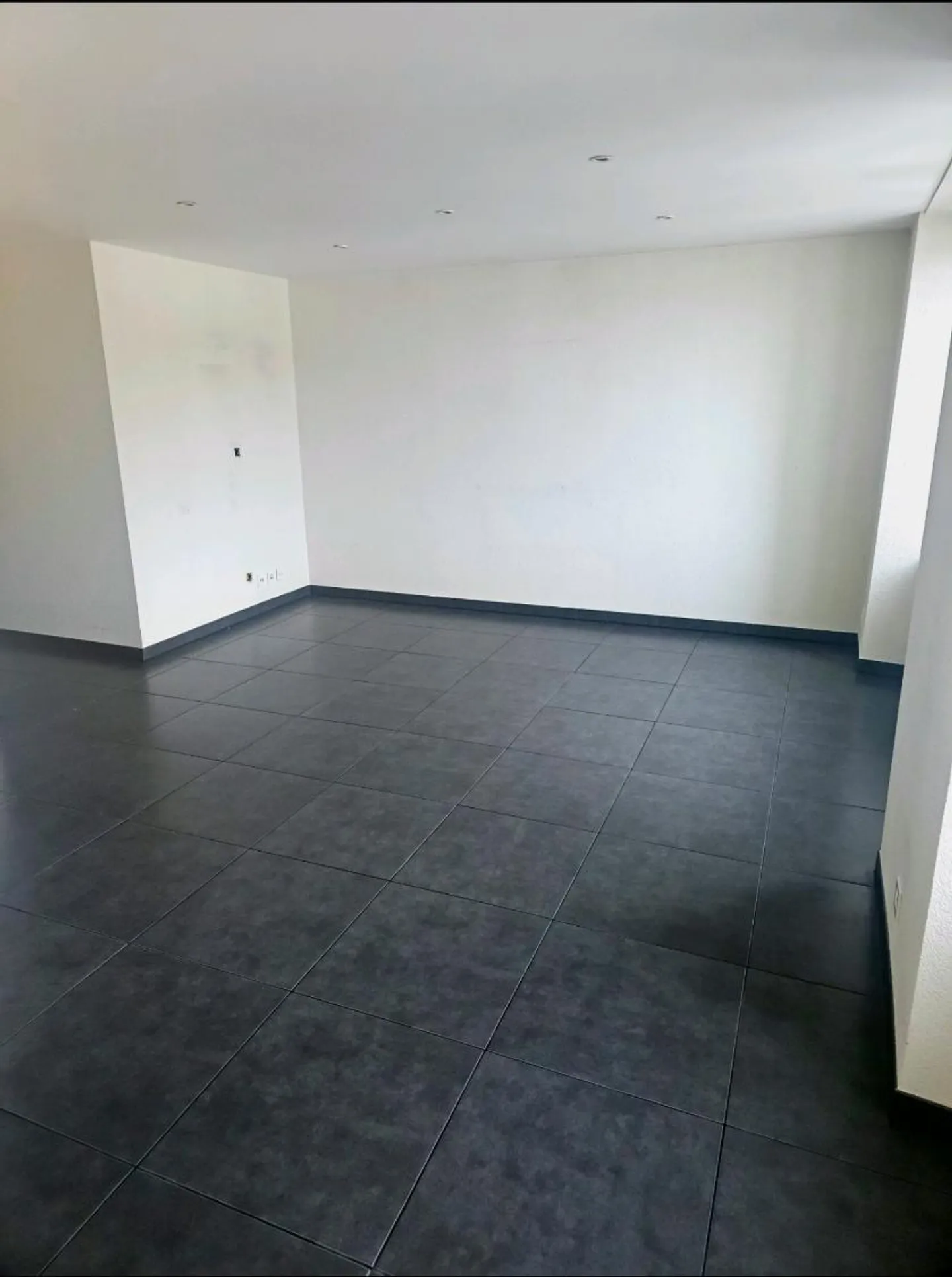 4.5 Room Apartment - Photo 2 of 4