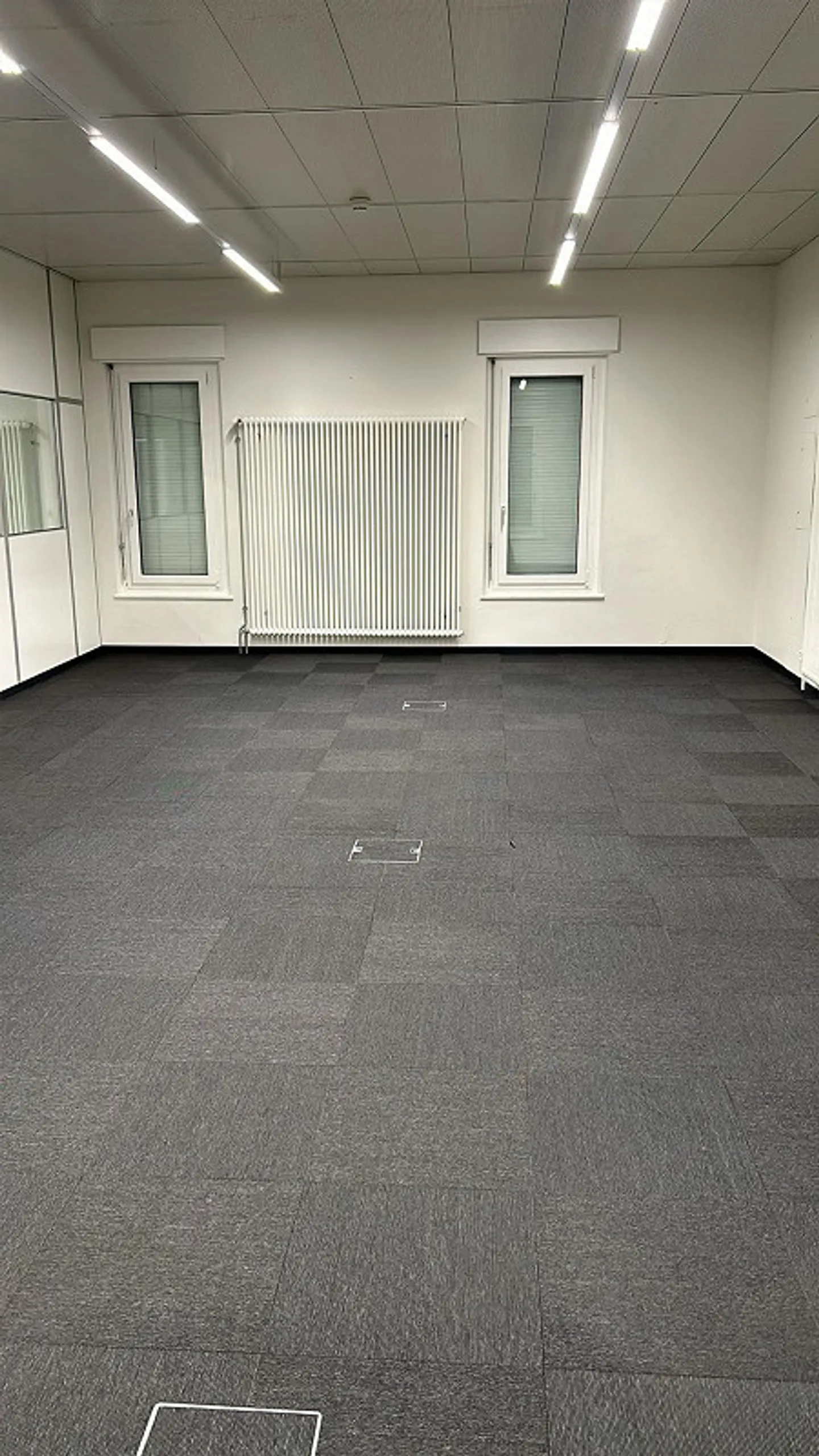 Spacious Office Space in Meyrin - Photo 4 of 8