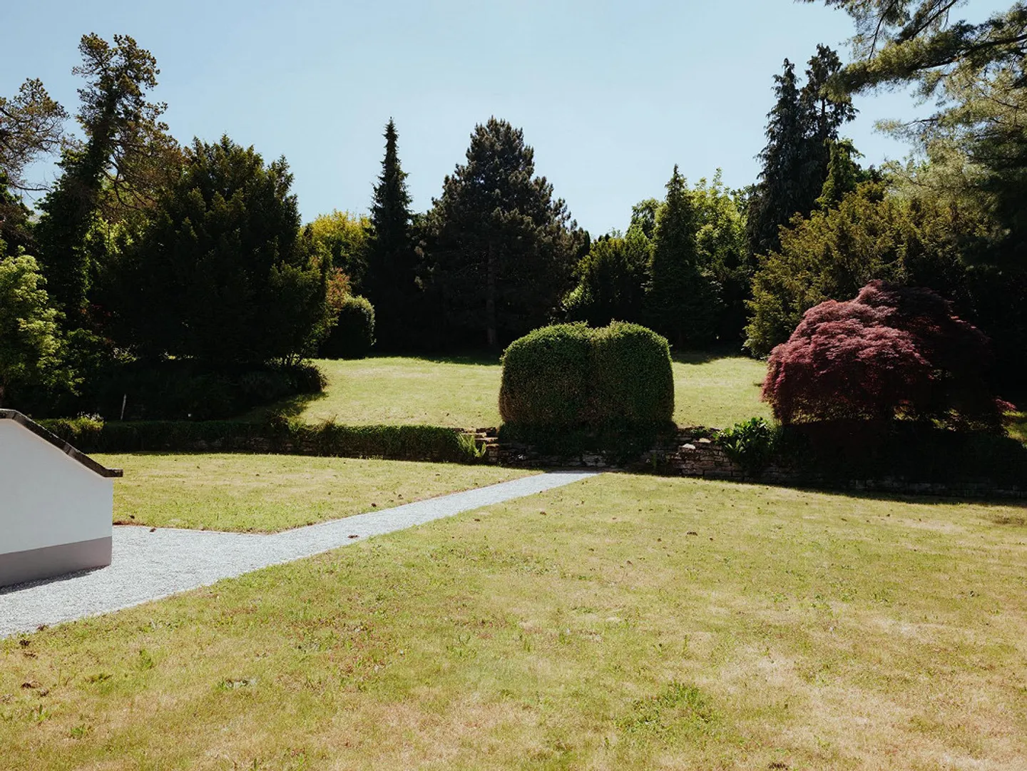 Terreno da sogno con panorama sul lago e assoluta privacy - Foto 5 di 36