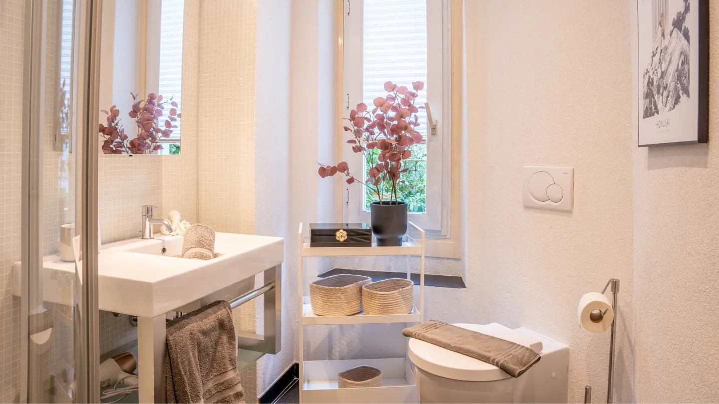 CHARME DELLA BELLA EPOCA - APPARTAMENTO BOUTIQUE DI 3,5 STANZE / 2 CAMERE DA LETTO - Foto 15 di 21