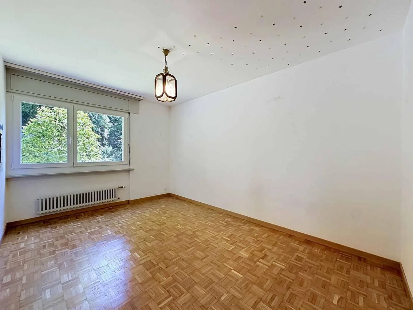 Beautiful 4.5 Room Apartment with Terrace and Garden - Photo 5 of 10