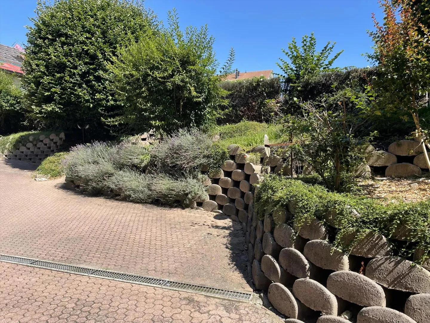 5-Zimmer-Wohnung - Foto 9 von 13