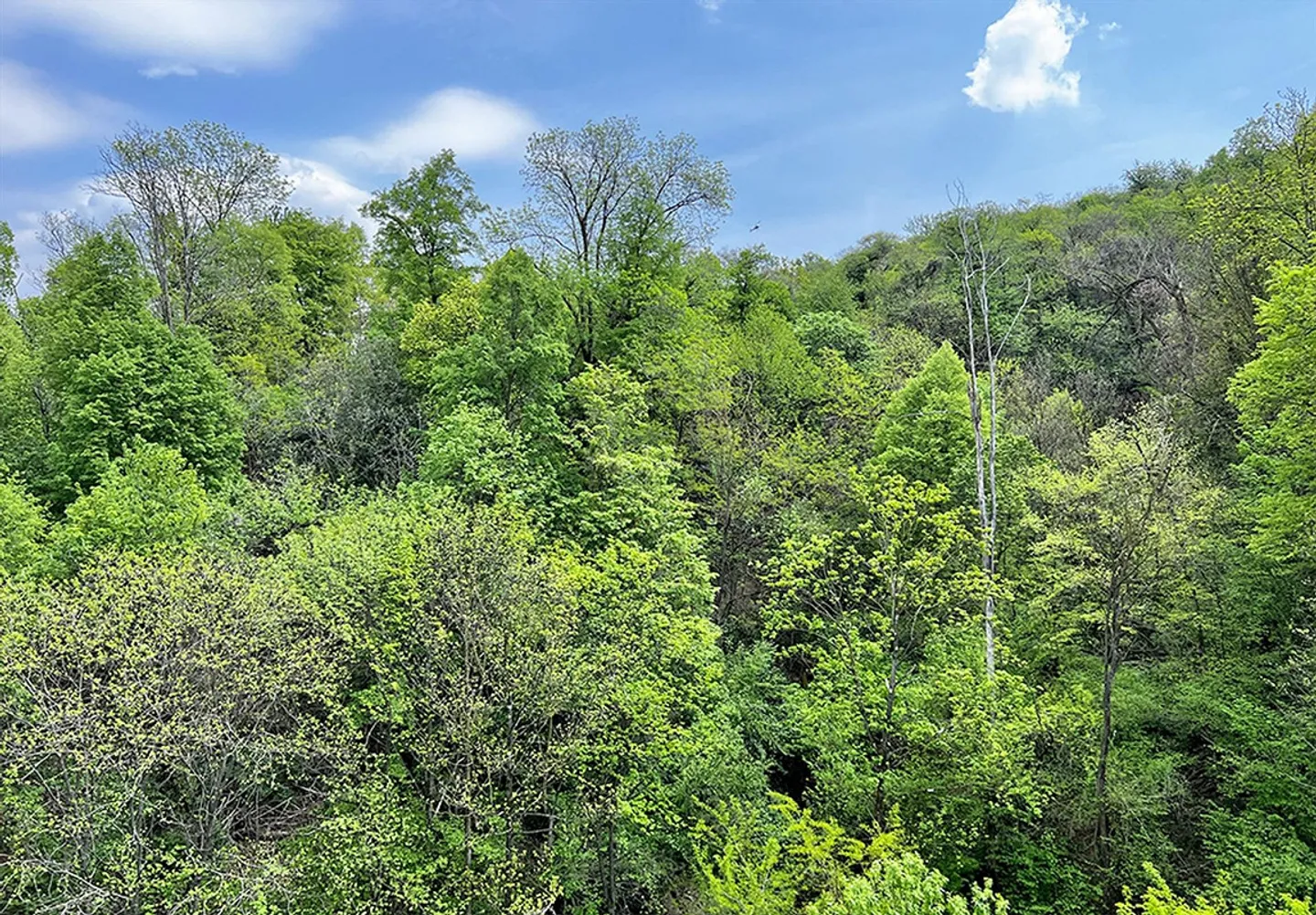 Appartamento in vendita nella zona verde - Foto 8 di 8