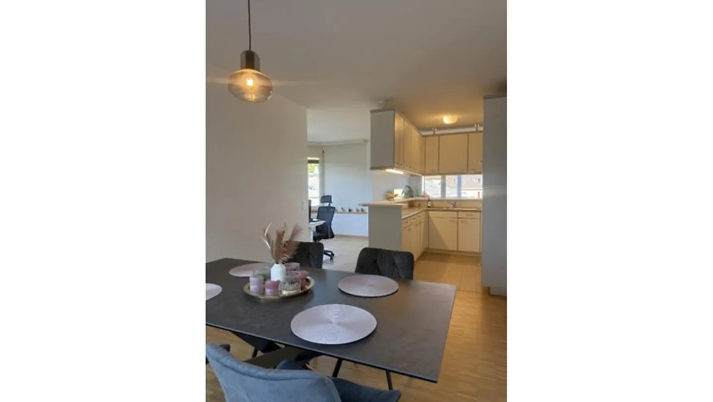APPARTAMENTO 2½ STANZE A BERN - MONBIJOU, ARREDATO, TEMPORANEO - Foto 3 di 9