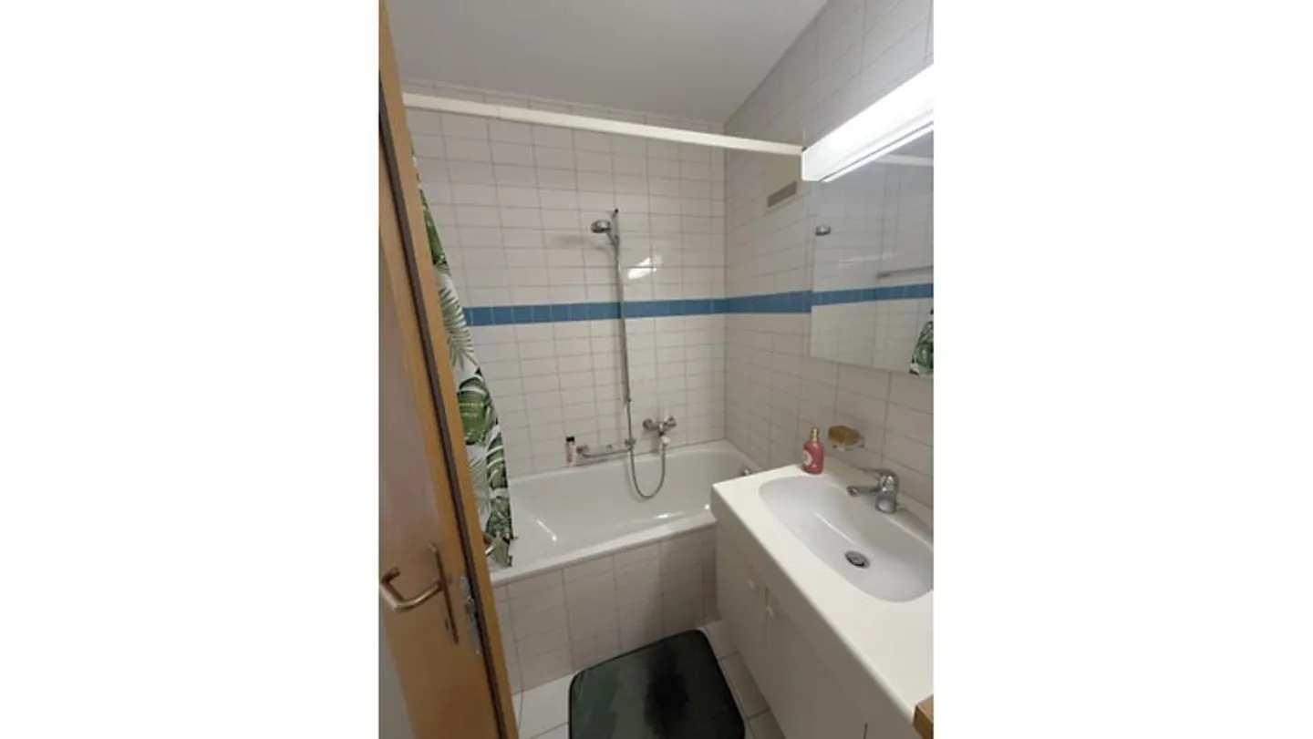 APPARTAMENTO 2½ STANZE A BERN - MONBIJOU, ARREDATO, TEMPORANEO - Foto 7 di 9