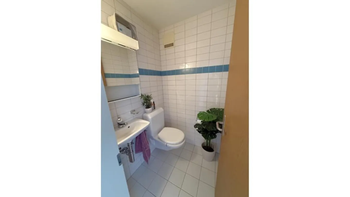 APPARTAMENTO 2½ STANZE A BERN - MONBIJOU, ARREDATO, TEMPORANEO - Foto 8 di 9