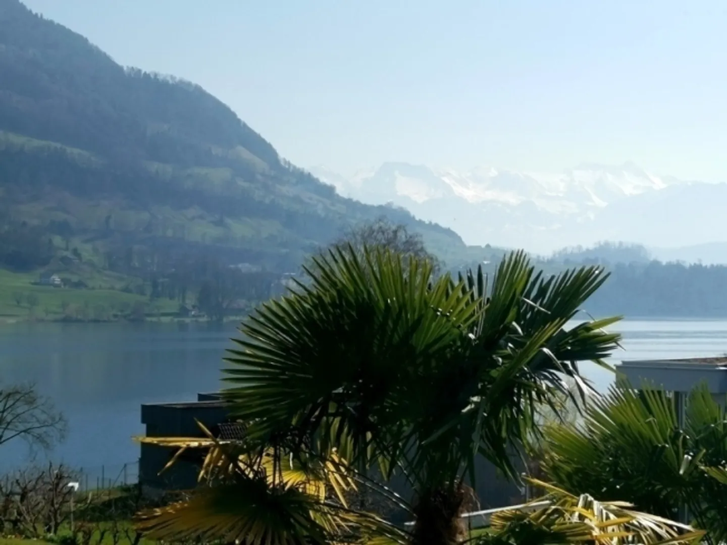 "2-room apartment in Merlischachen (SZ), furnished, temporary" - Photo 10 of 10