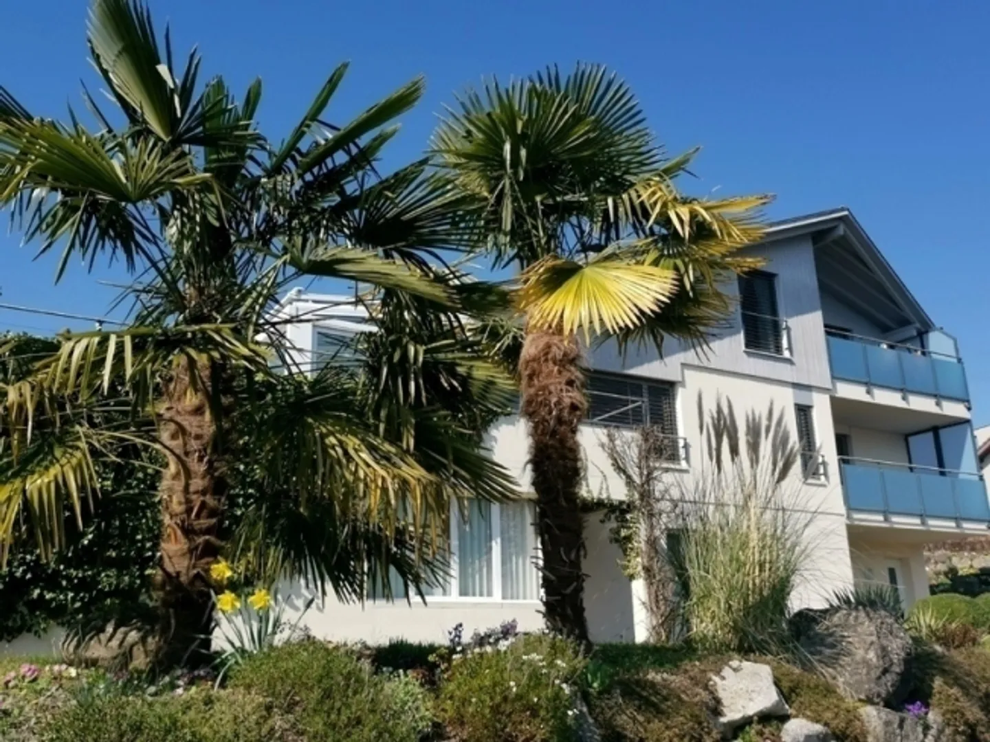 "2-room apartment in Merlischachen (SZ), furnished, temporary" - Photo 1 of 10