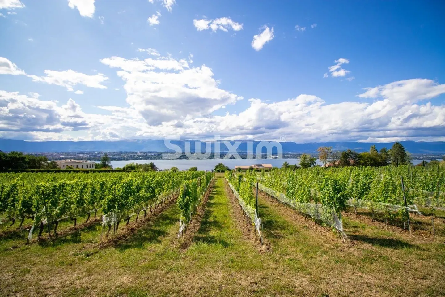 Exceptional Contemporary Villa - Photo 1 of 1