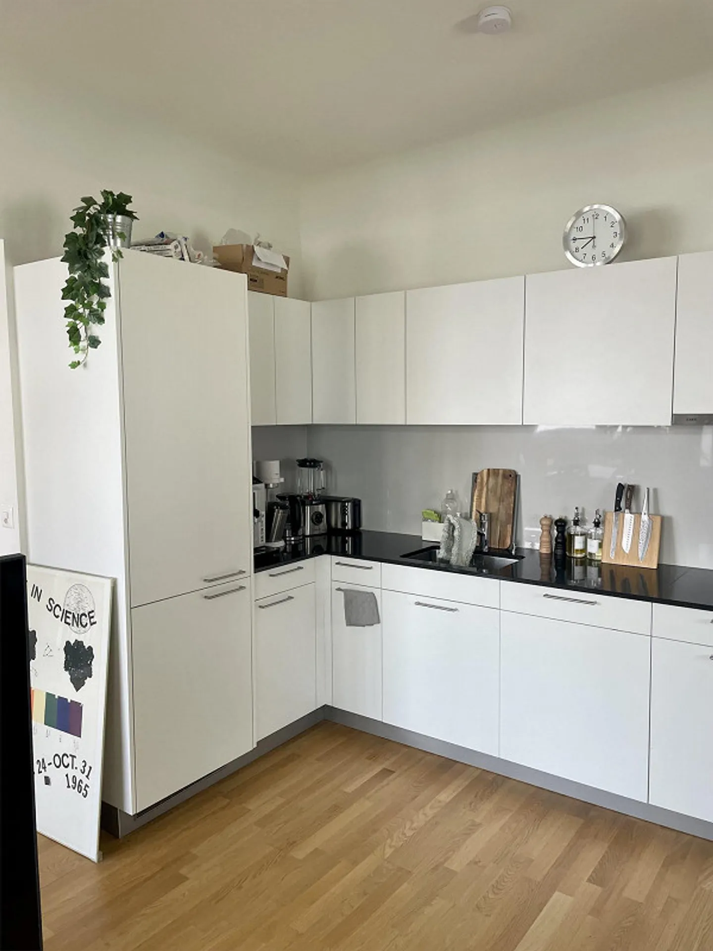 Vivre au premier rang du lac de Constance ! - Photo 2 sur 9