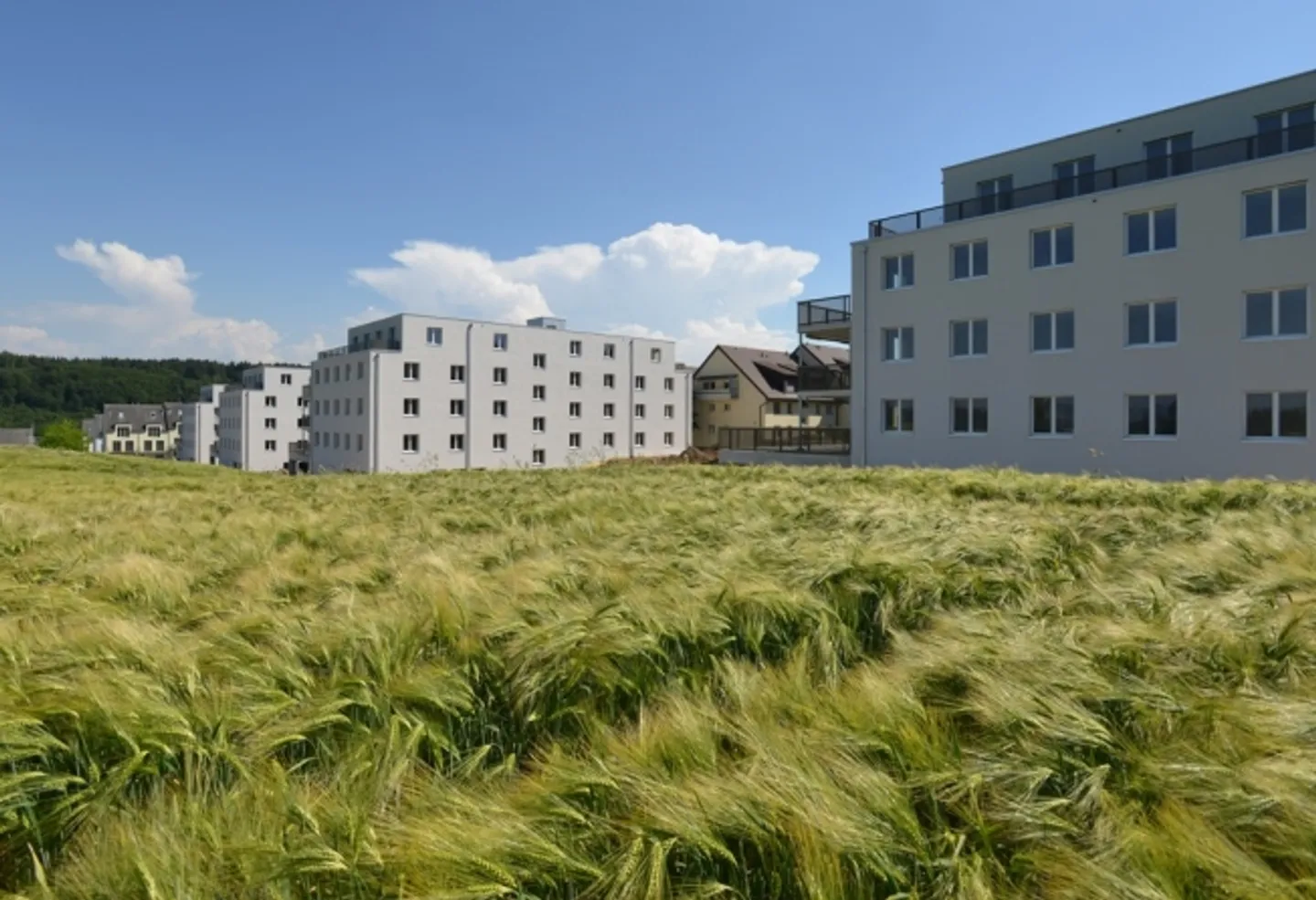 Modernes Apartment mit sonnigem Balkon - Foto 1 von 1