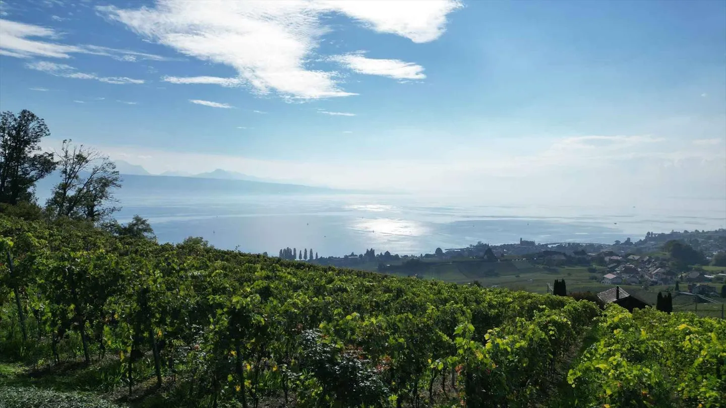 Villa 10.5 pièces - Foto 7 von 13