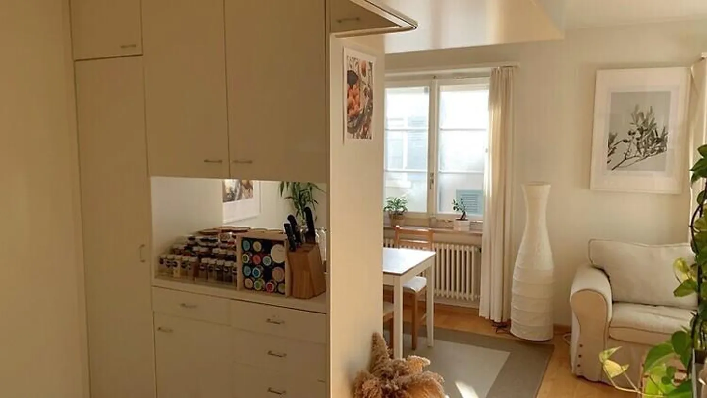APPARTAMENTO 2½ STANZE A RHEINFELDEN (AG), ARREDATO, TEMPORANEO - Foto 3 di 9