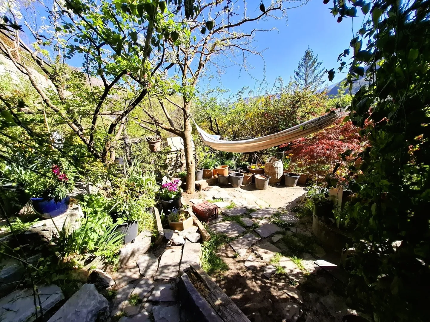 Charming rustic house with garden and large adjoining land in Auressio - Photo 12 of 13