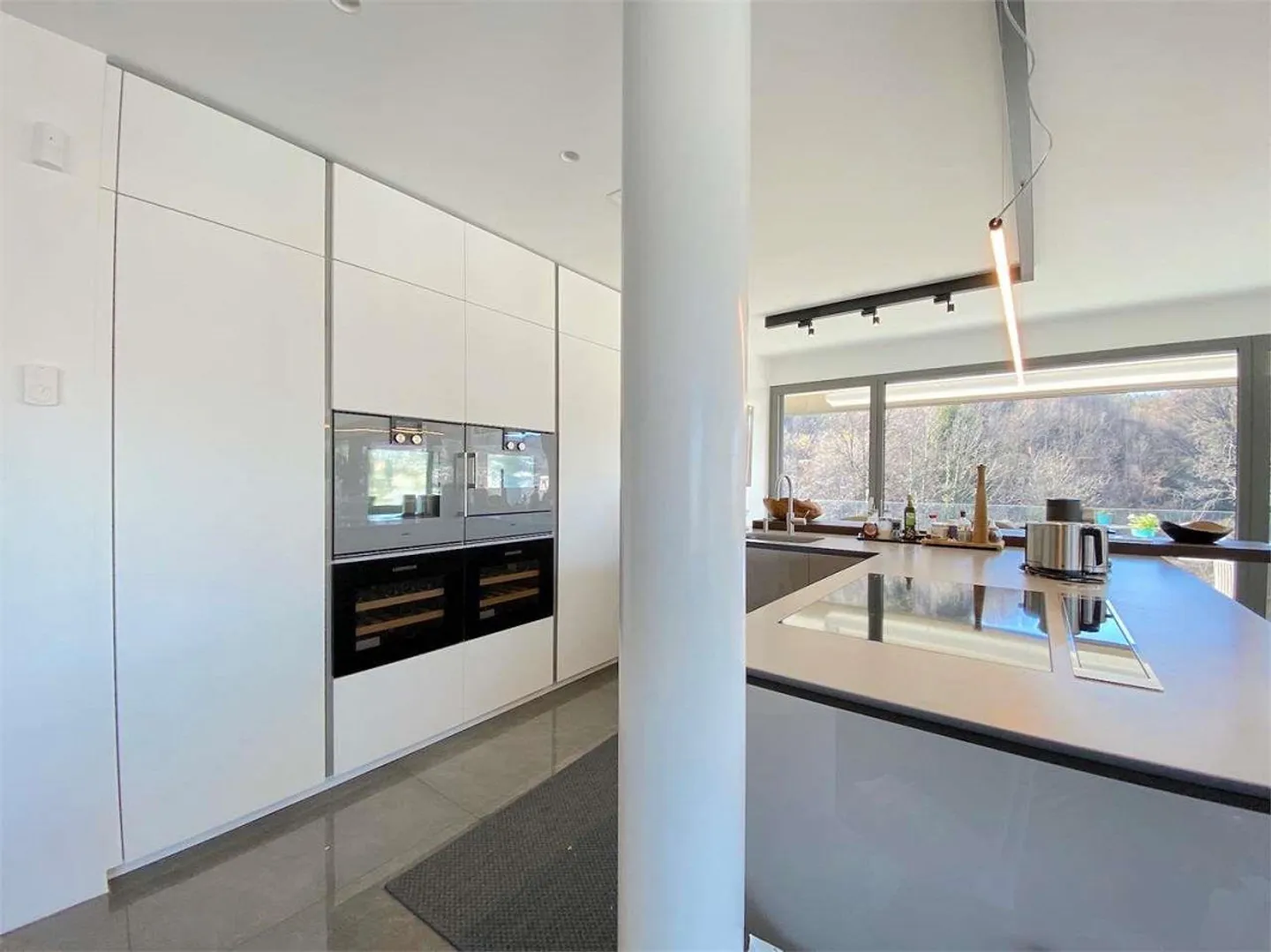 Luxury Apartment with Lake View in Paradiso - Photo 5 of 13