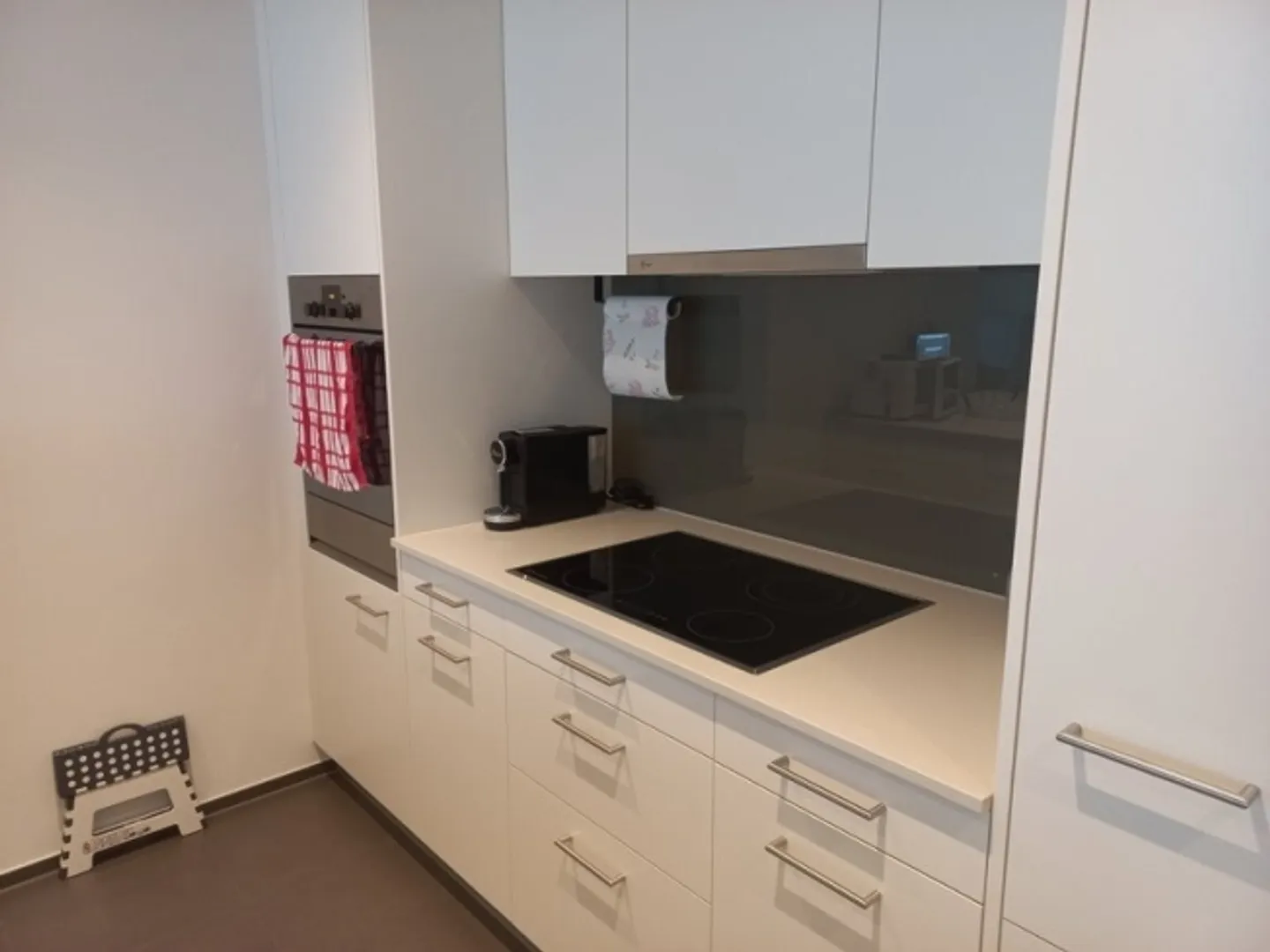 3½ ROOM APARTMENT IN ALPNACHSTAD (OW), FURNISHED, TEMPORARY - Photo 2 of 9