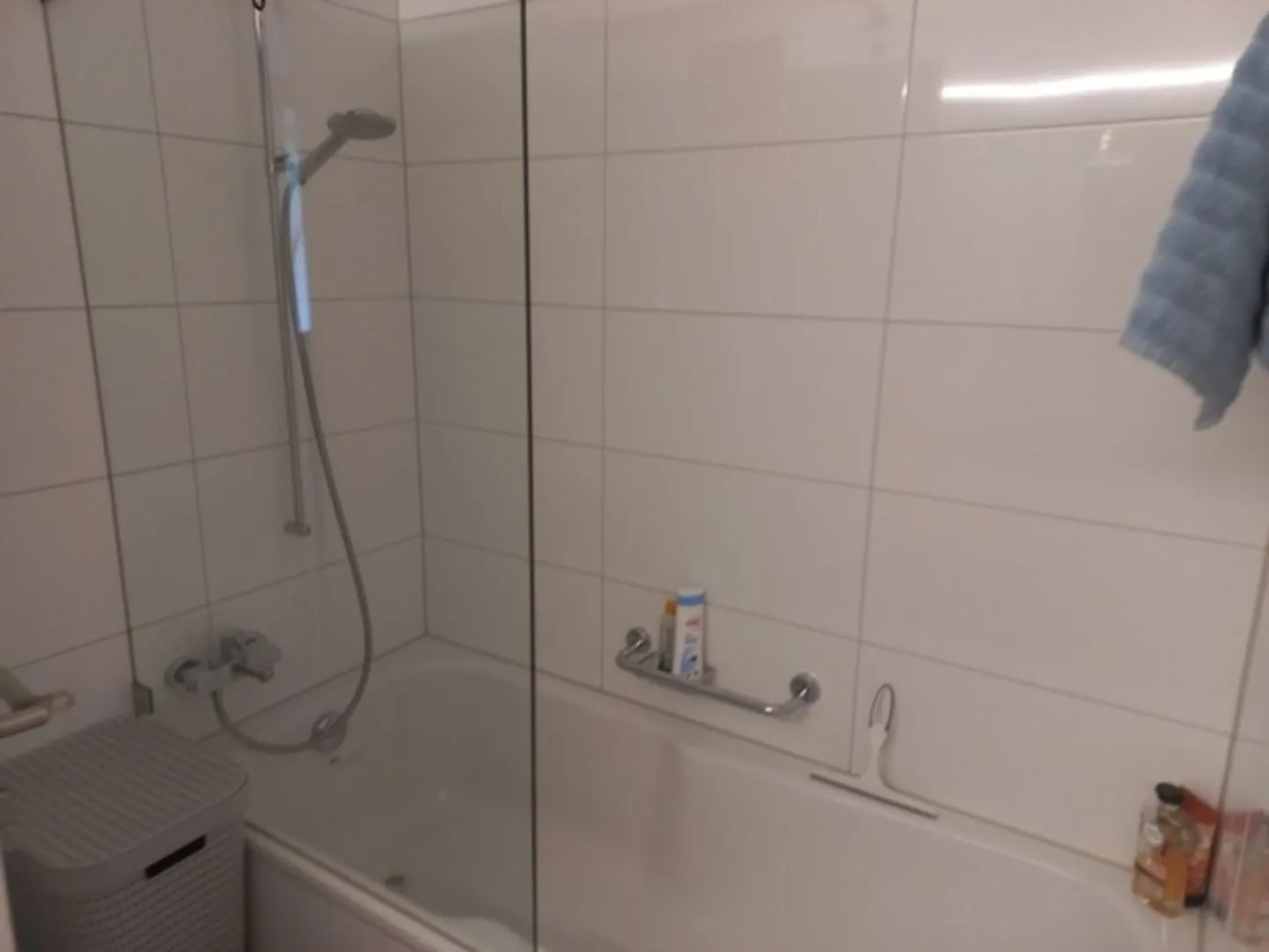 3½ ROOM APARTMENT IN ALPNACHSTAD (OW), FURNISHED, TEMPORARY - Photo 8 of 9