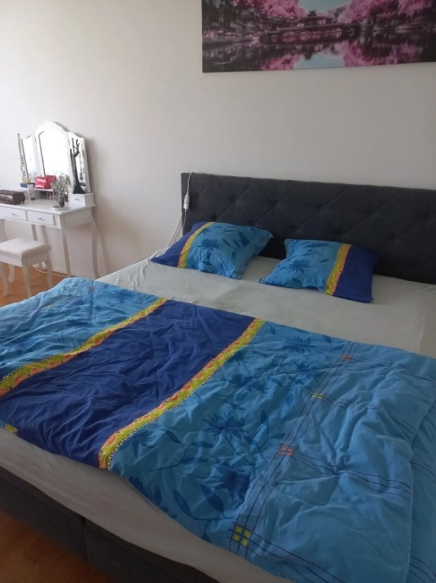 3½ ROOM APARTMENT IN ALPNACHSTAD (OW), FURNISHED, TEMPORARY - Photo 5 of 9