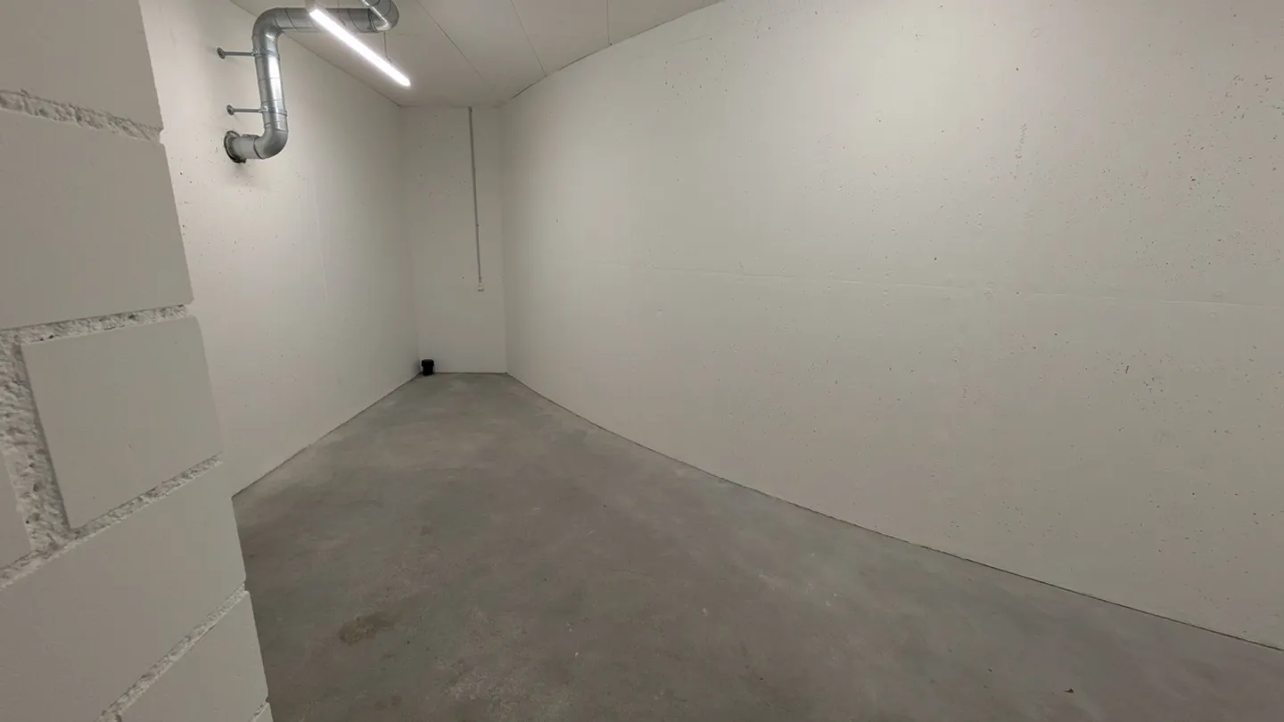 26.1m2 Espace de stockage Winterthur - Ida-Sträuli-Strasse 49 - Photo 3 sur 8