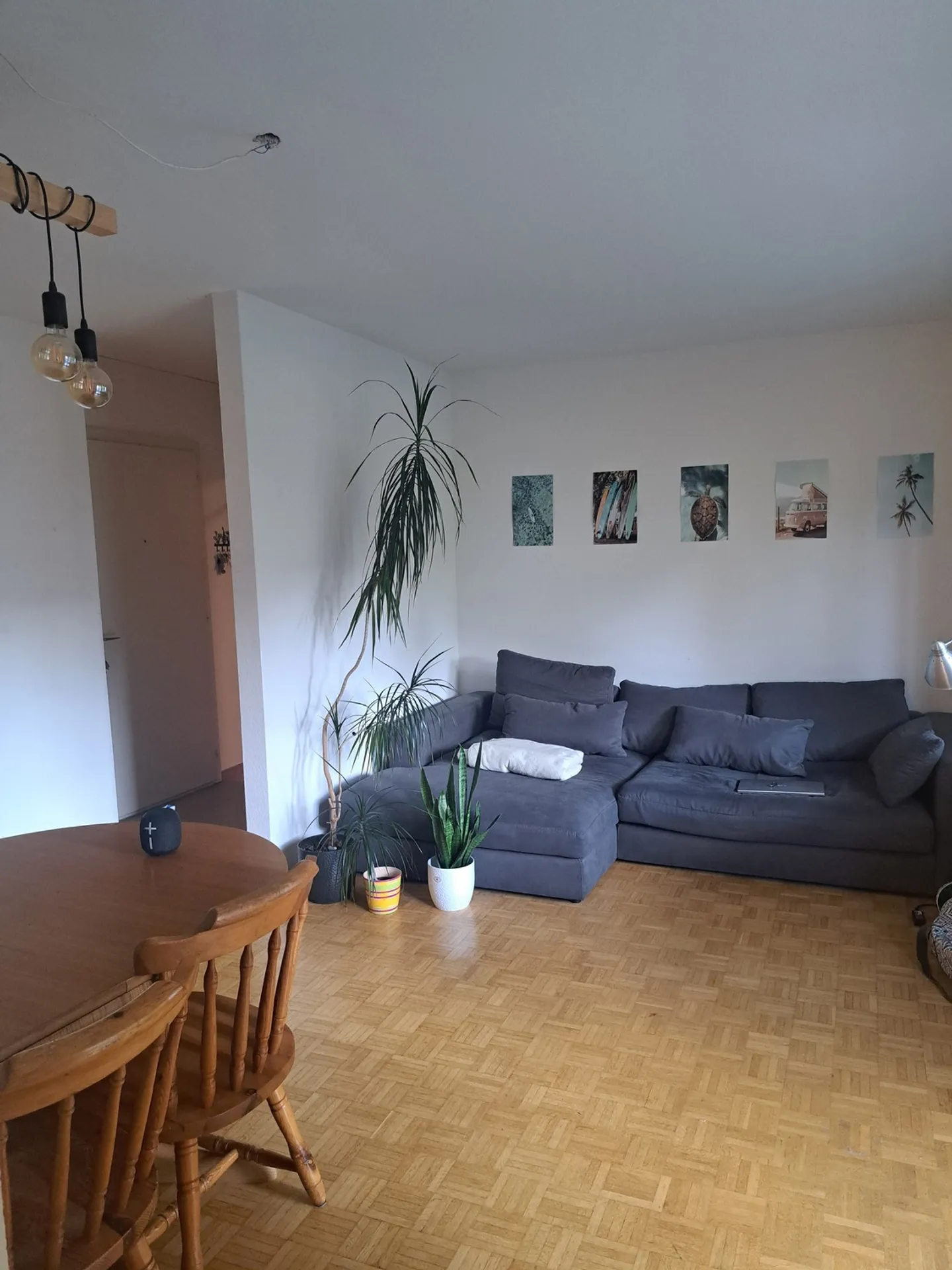 APPARTAMENTO 2 LOCALI A THUN (BE), ARREDATO, TEMPORANEO - Foto 1 di 5