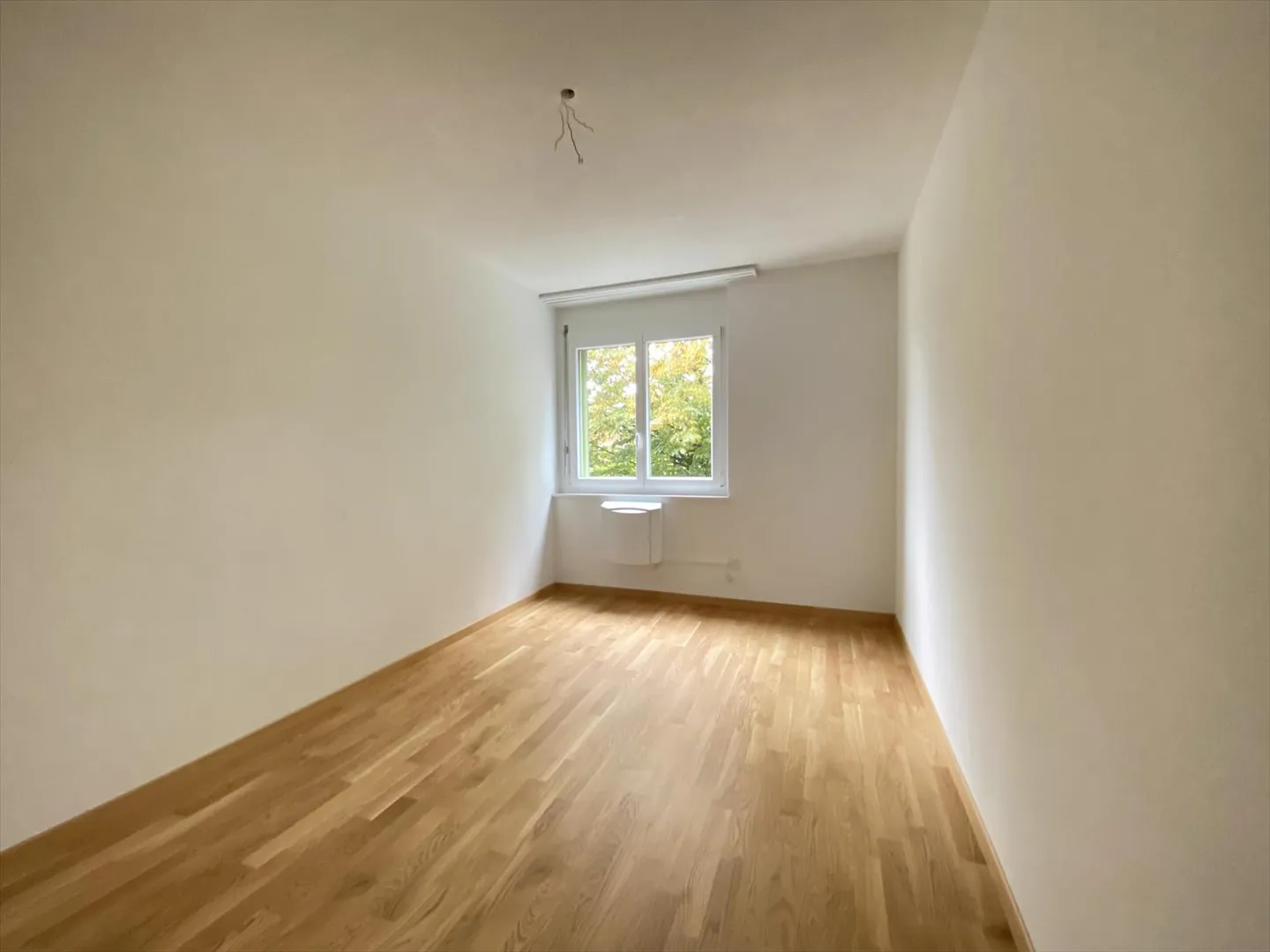 Ambiente familiare e verde - Foto 9 di 10