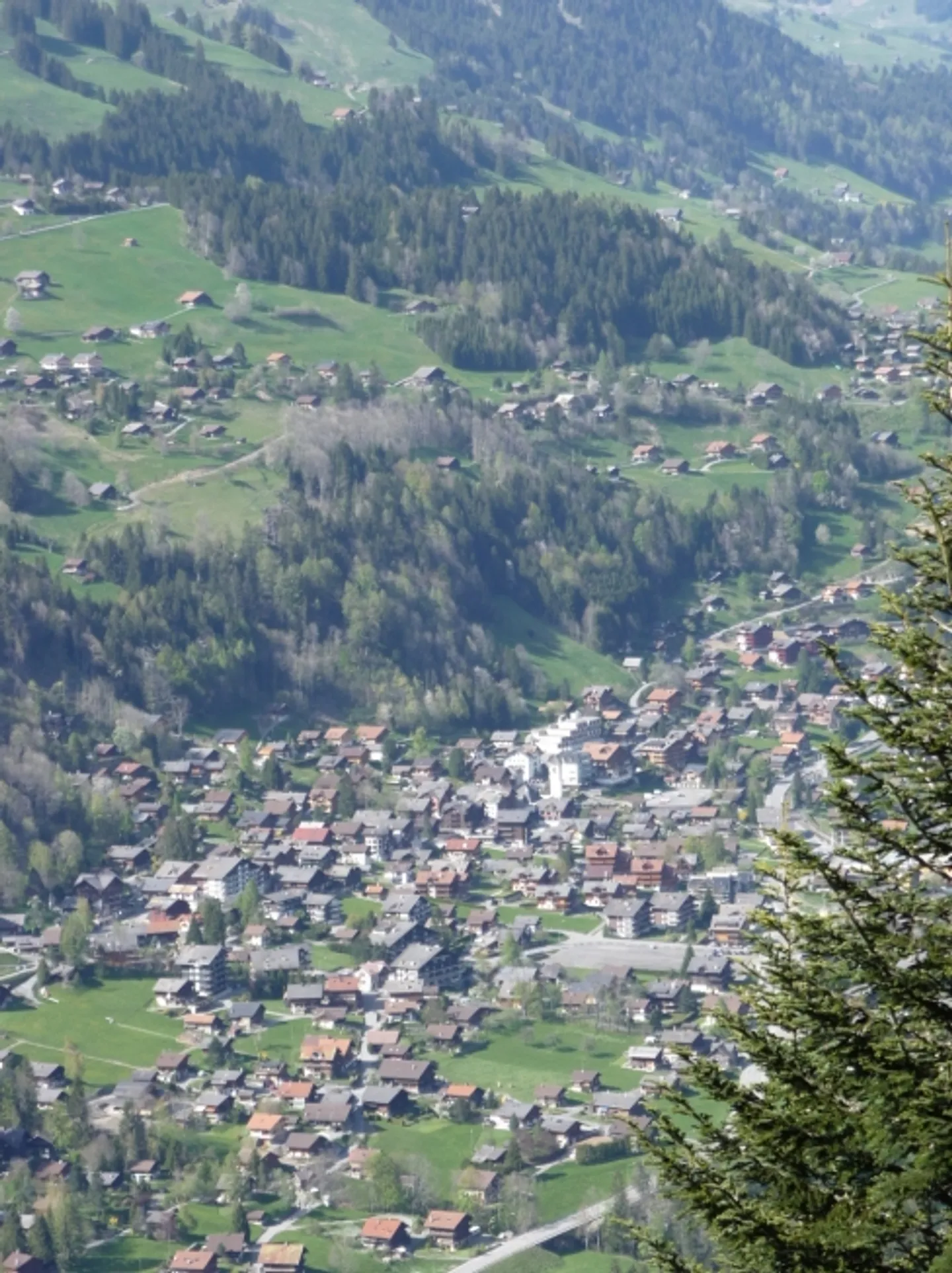 Bella parcella di 903 m2 da costruire sopra il villaggio di Champéry - Foto 2 di 3