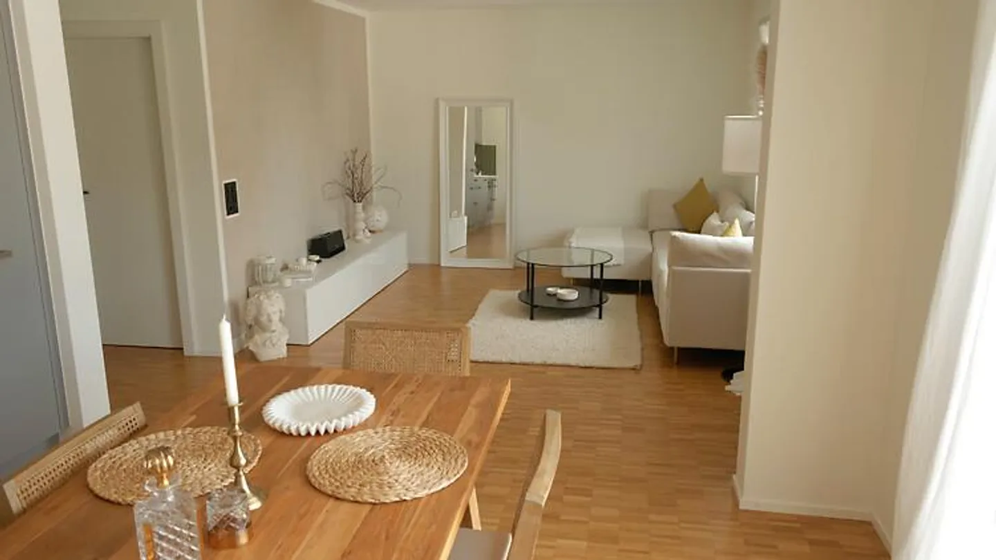 APPARTAMENTO 2½ STANZE A SCHLIEREN (ZH), ARREDATO, TEMPORANEO - Foto 2 di 10