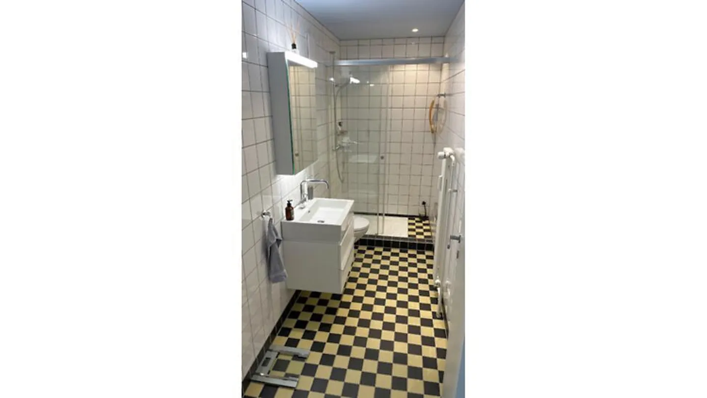 APPARTAMENTO 2½ STANZE A SCHLIEREN (ZH), ARREDATO, TEMPORANEO - Foto 5 di 10