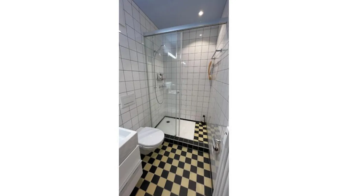 APPARTAMENTO 2½ STANZE A SCHLIEREN (ZH), ARREDATO, TEMPORANEO - Foto 8 di 10