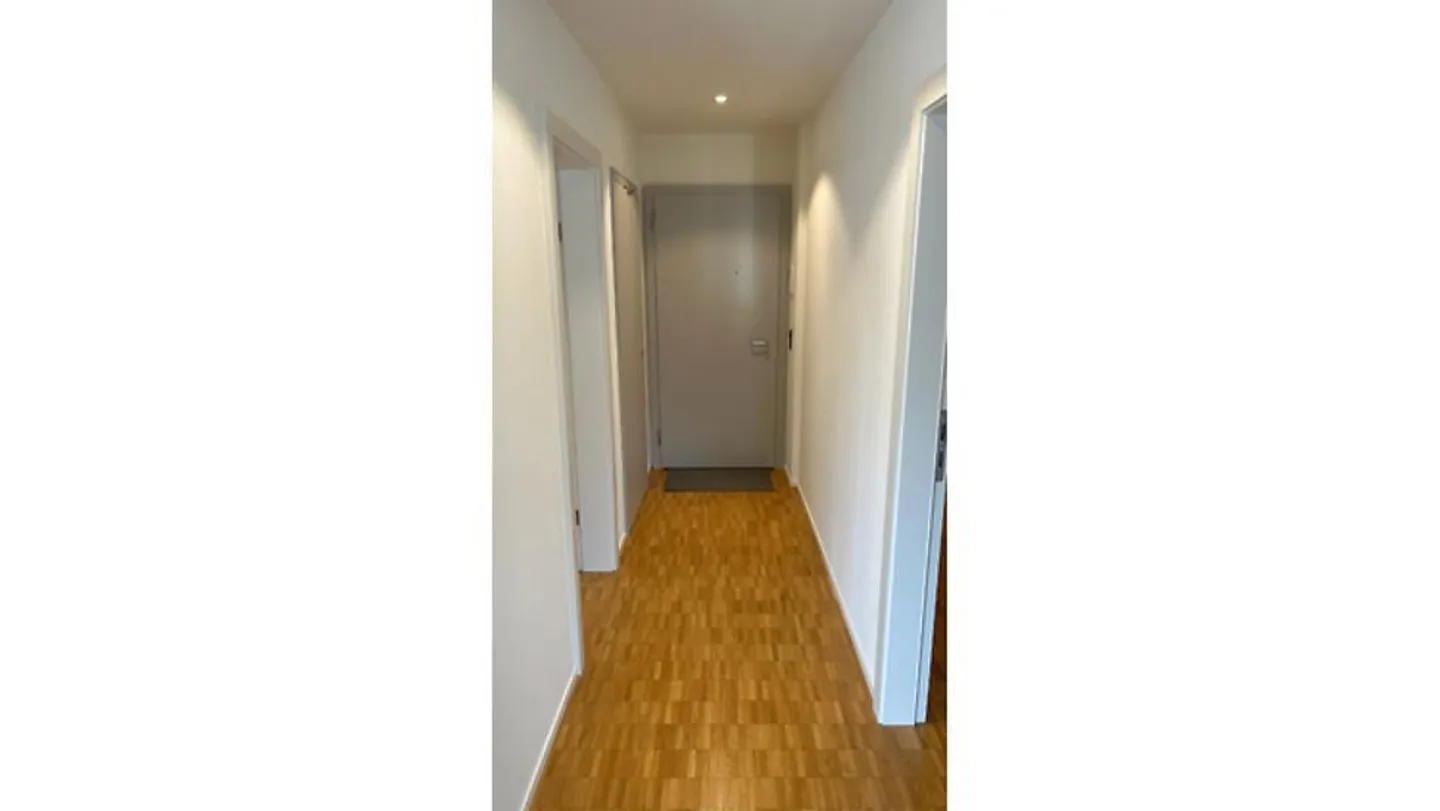 APPARTAMENTO 2½ STANZE A SCHLIEREN (ZH), ARREDATO, TEMPORANEO - Foto 10 di 10