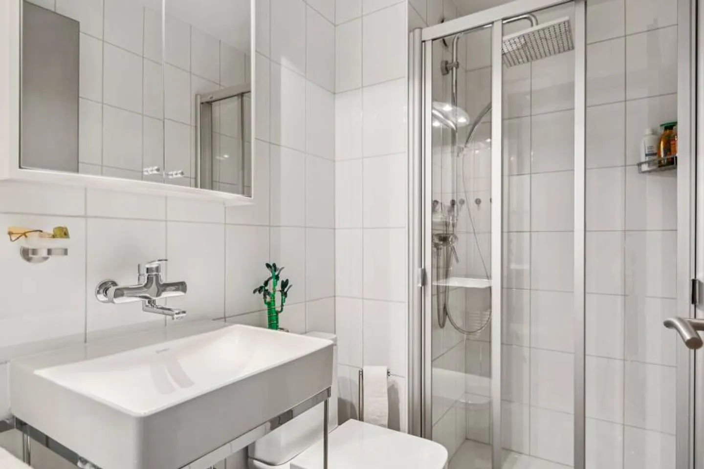 4.5 Room Apartment - Photo 11 of 13