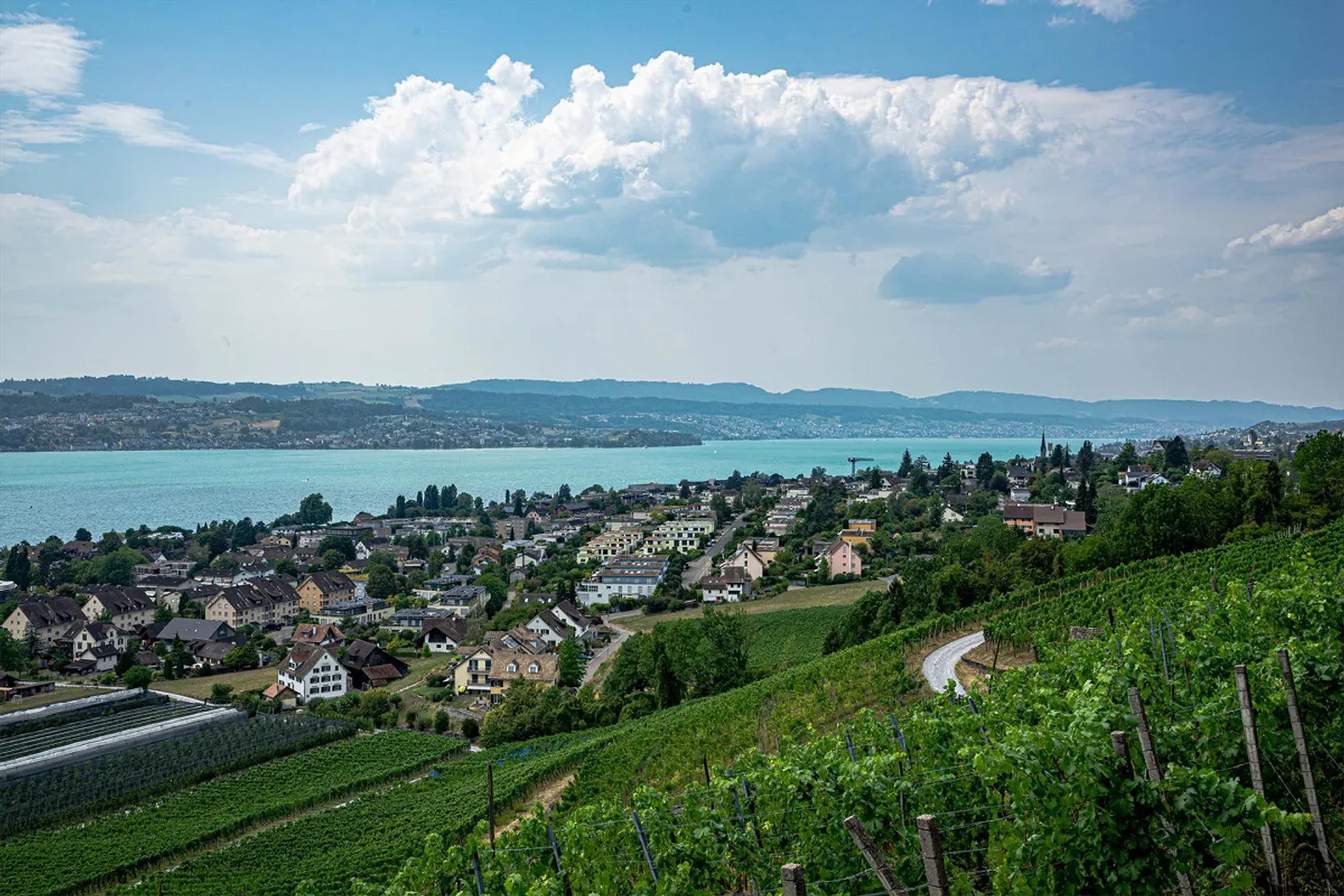 Nature, Paix et Vue sur le Lac avec Beaucoup d'Espace pour les Humains et les Animaux - Photo 11 sur 13