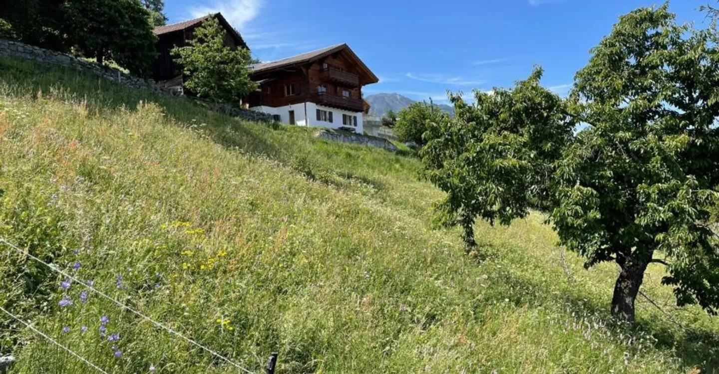 Terrain à bâtir pour famille - Photo 1 sur 1