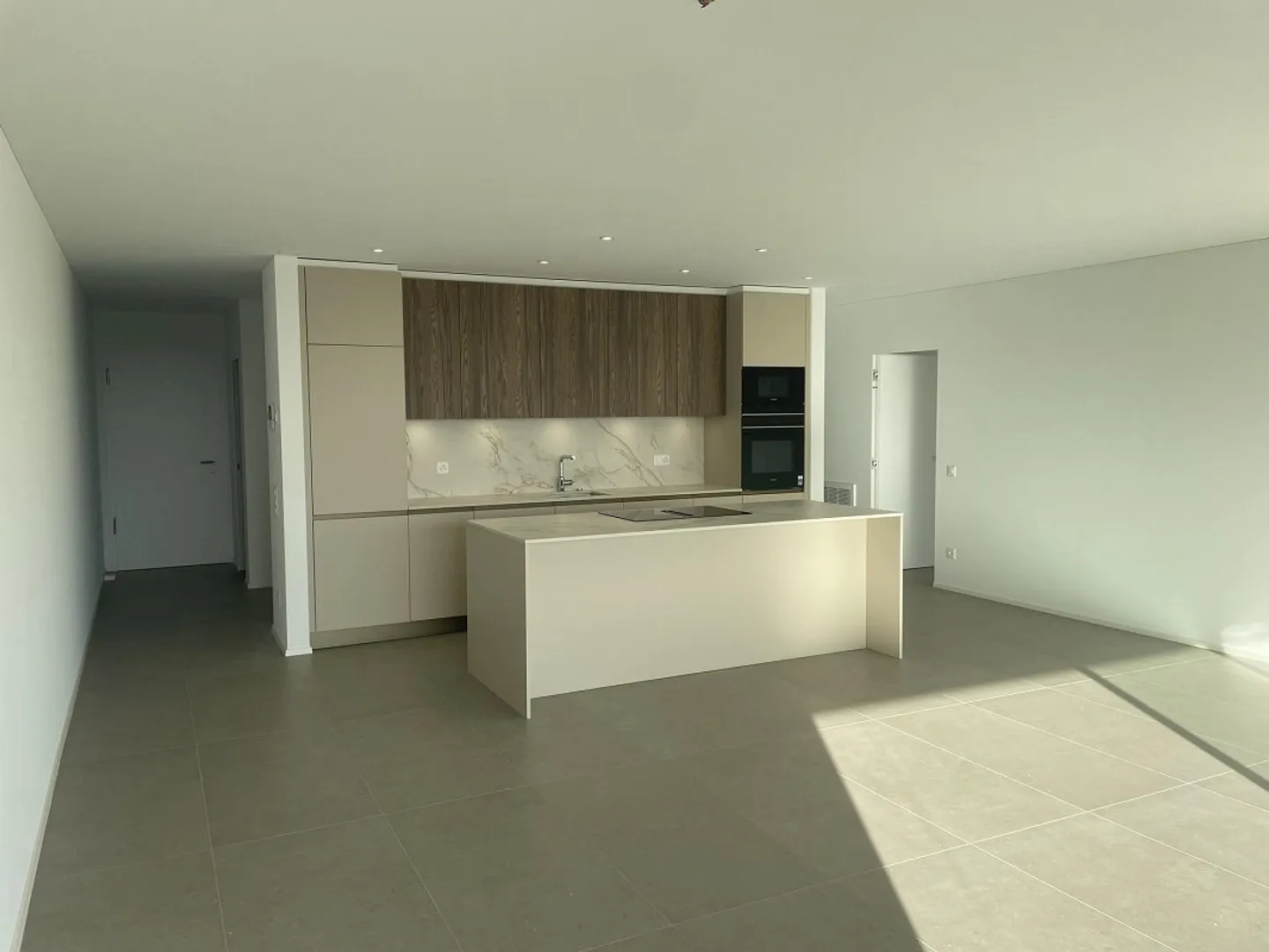 NEW AND EXTRAORDINARY 3.5 APARTMENT WITH BREATHTAKING VIEW - Photo 5 of 13