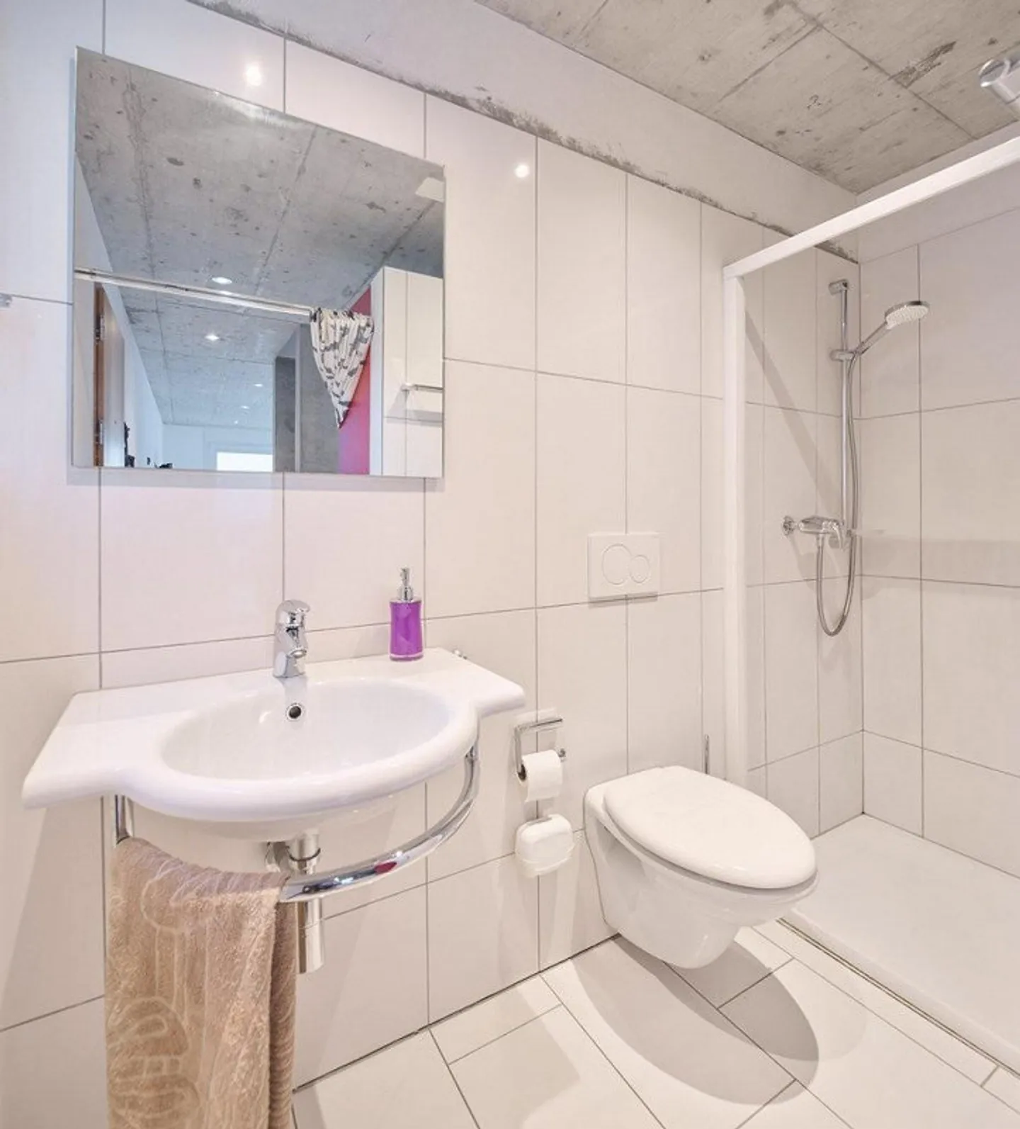 Spacious Single-Family Home with Apartment - Photo 10 of 12