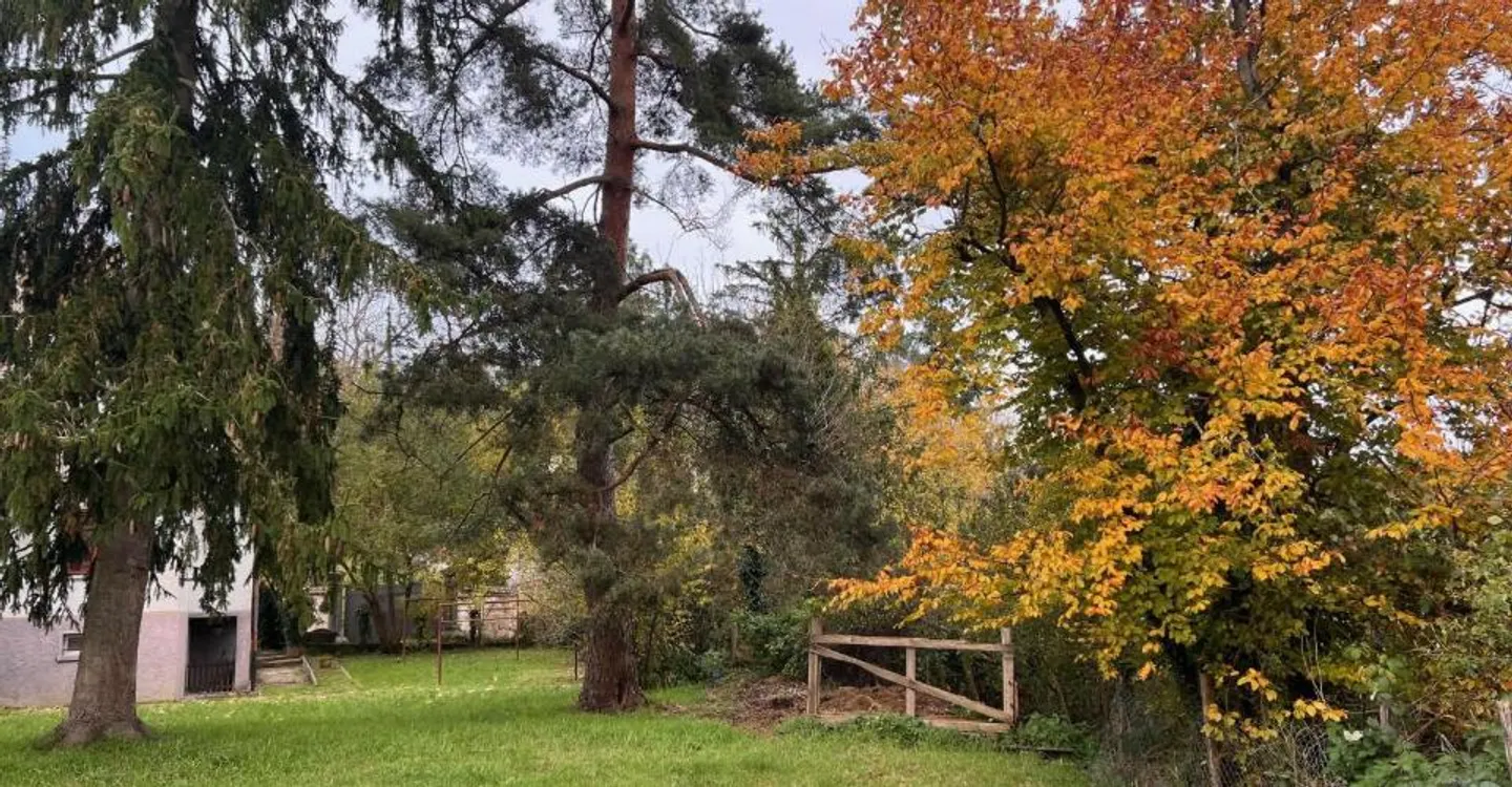 Terreno ideale per 3 ville - Foto 3 di 8
