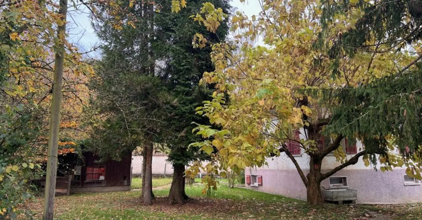 Terreno ideale per 3 ville - Foto 5 di 8