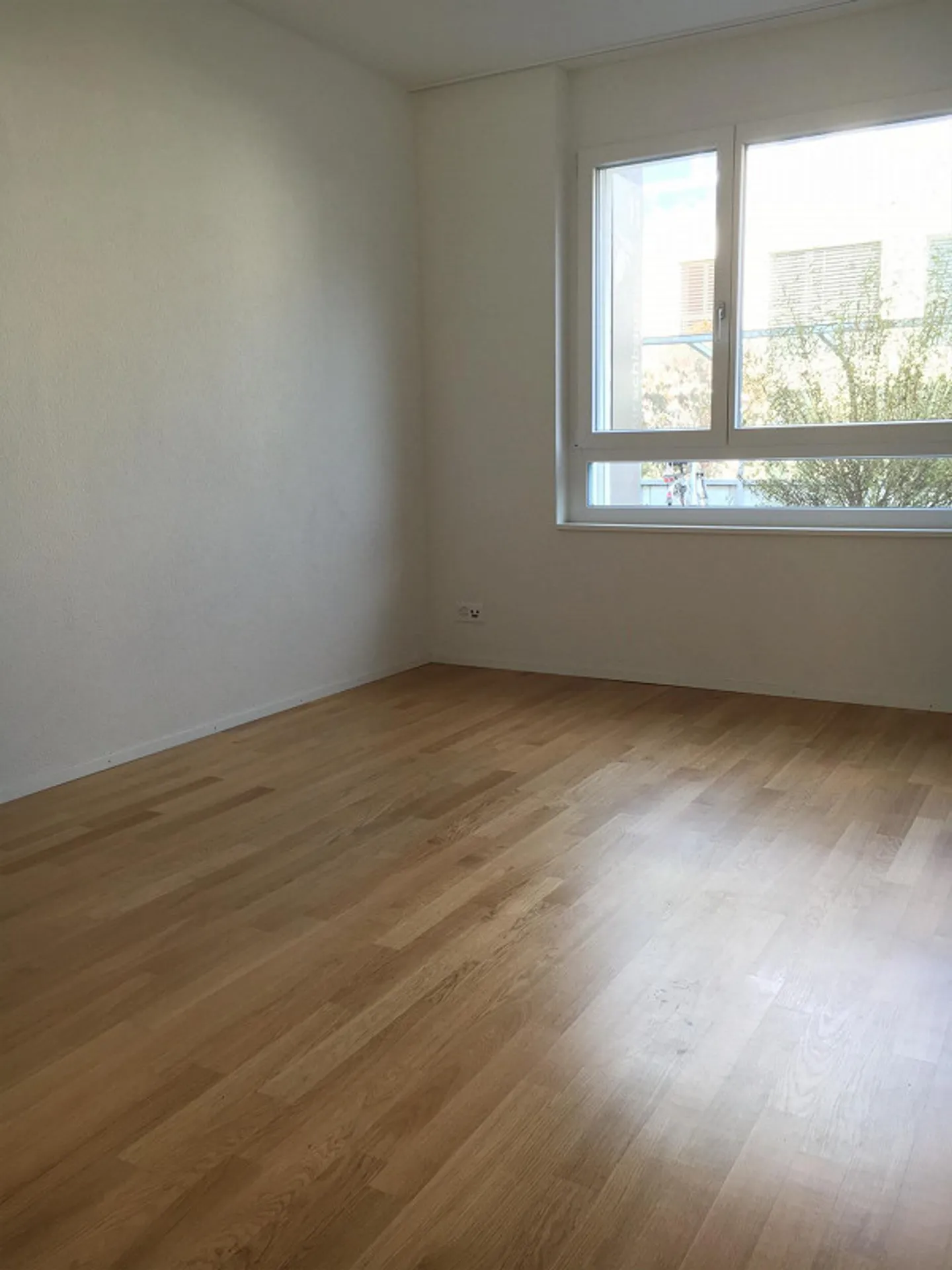 Moderno appartamento di 2,5 stanze al piano terra - Foto 4 di 5