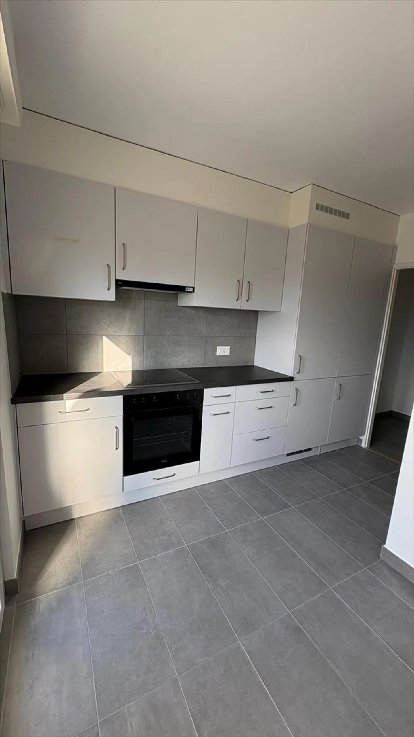 Appartamento ristrutturato con una bella vista sul lago e sulle Alpi. - Foto 4 di 8