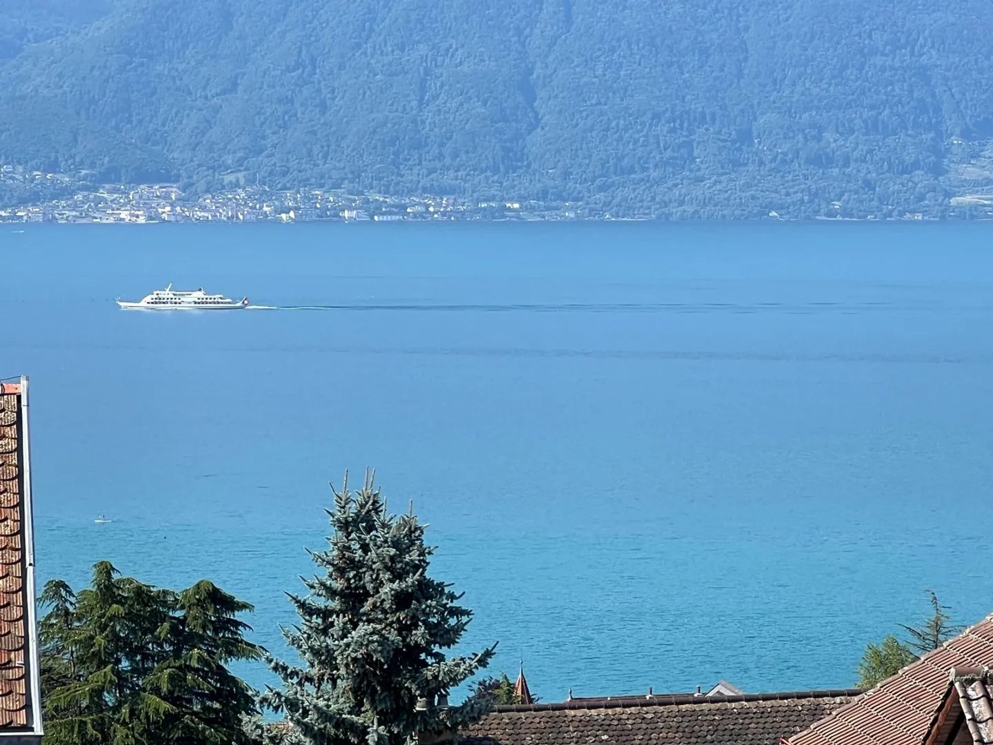 Magnificent Winegrower's House with Charm and Panoramic View of the Lake - Photo 8 of 12