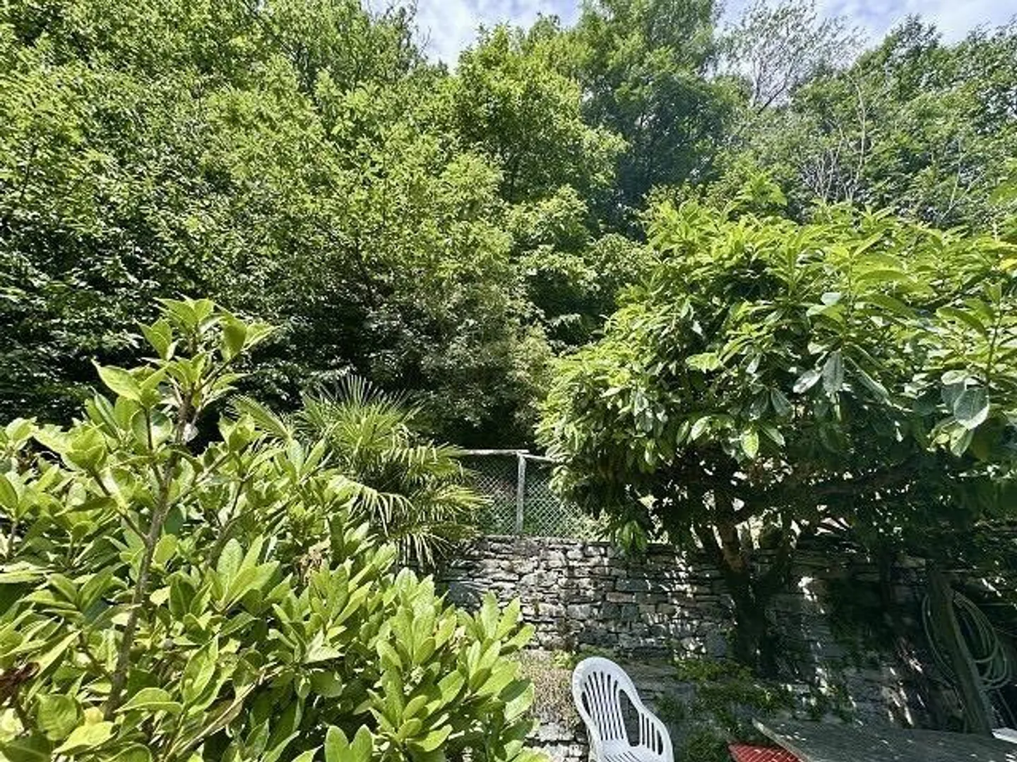 Rustico di 4 stanze con giardino in una posizione molto tranquilla e soleggiata... - Foto 26 di 34
